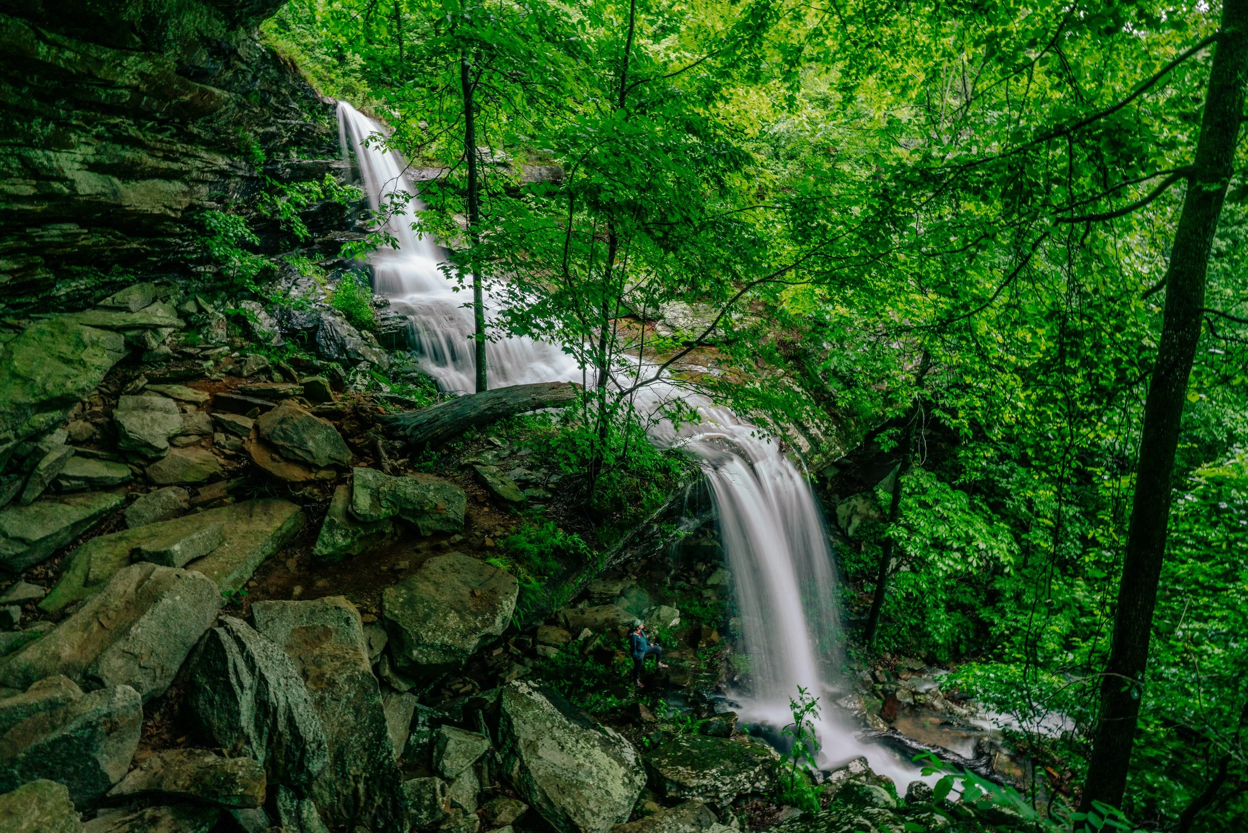 Hudson Shelter Hike Guide | Ozark National Forest, Arkansas