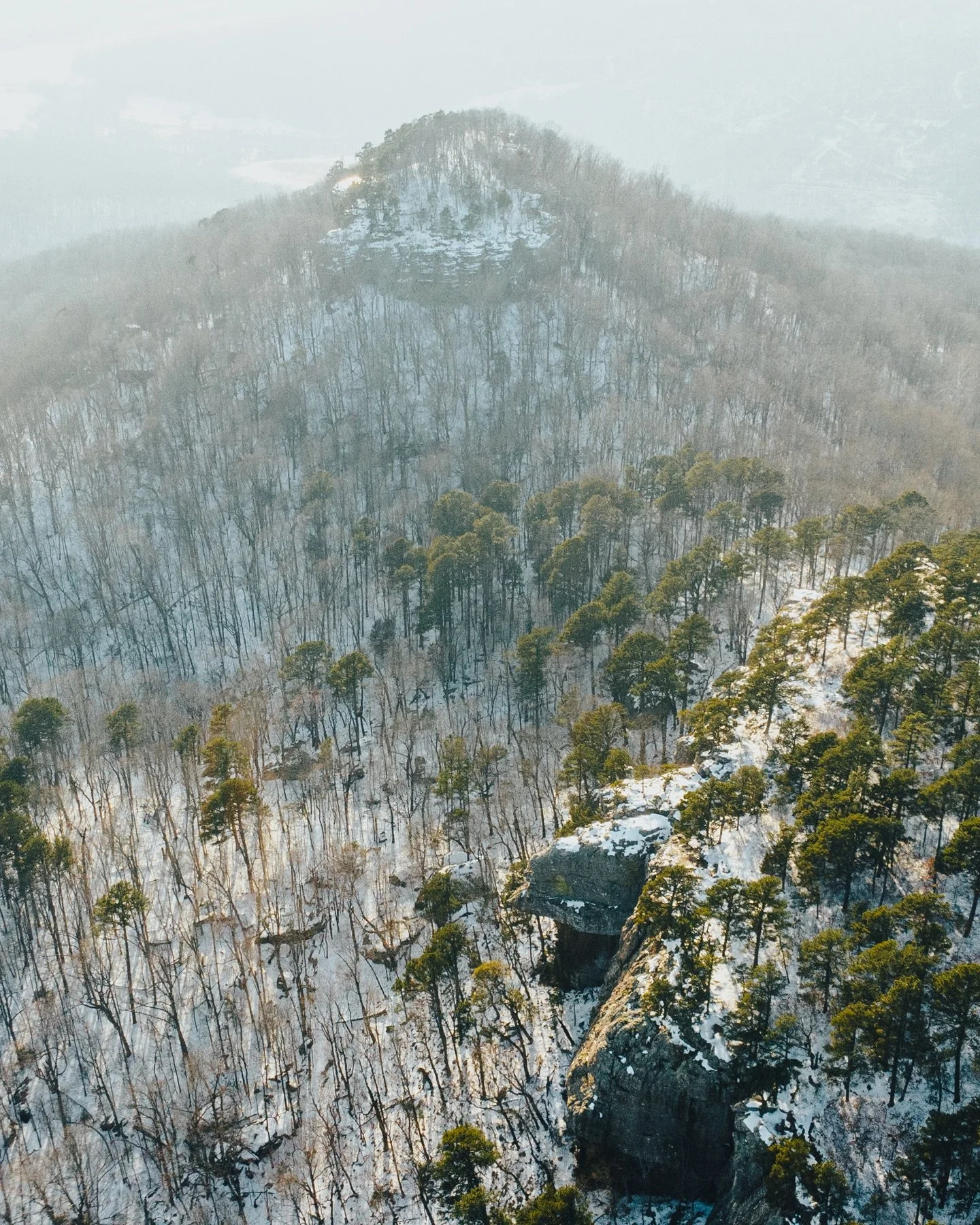 Winter in Arkansas ❄️ The snow is melting quick now, but it sure was beautiful while it lasted! Here are a few of my favorite photos I captured this past week in the Ozark winter wonderland ☃️