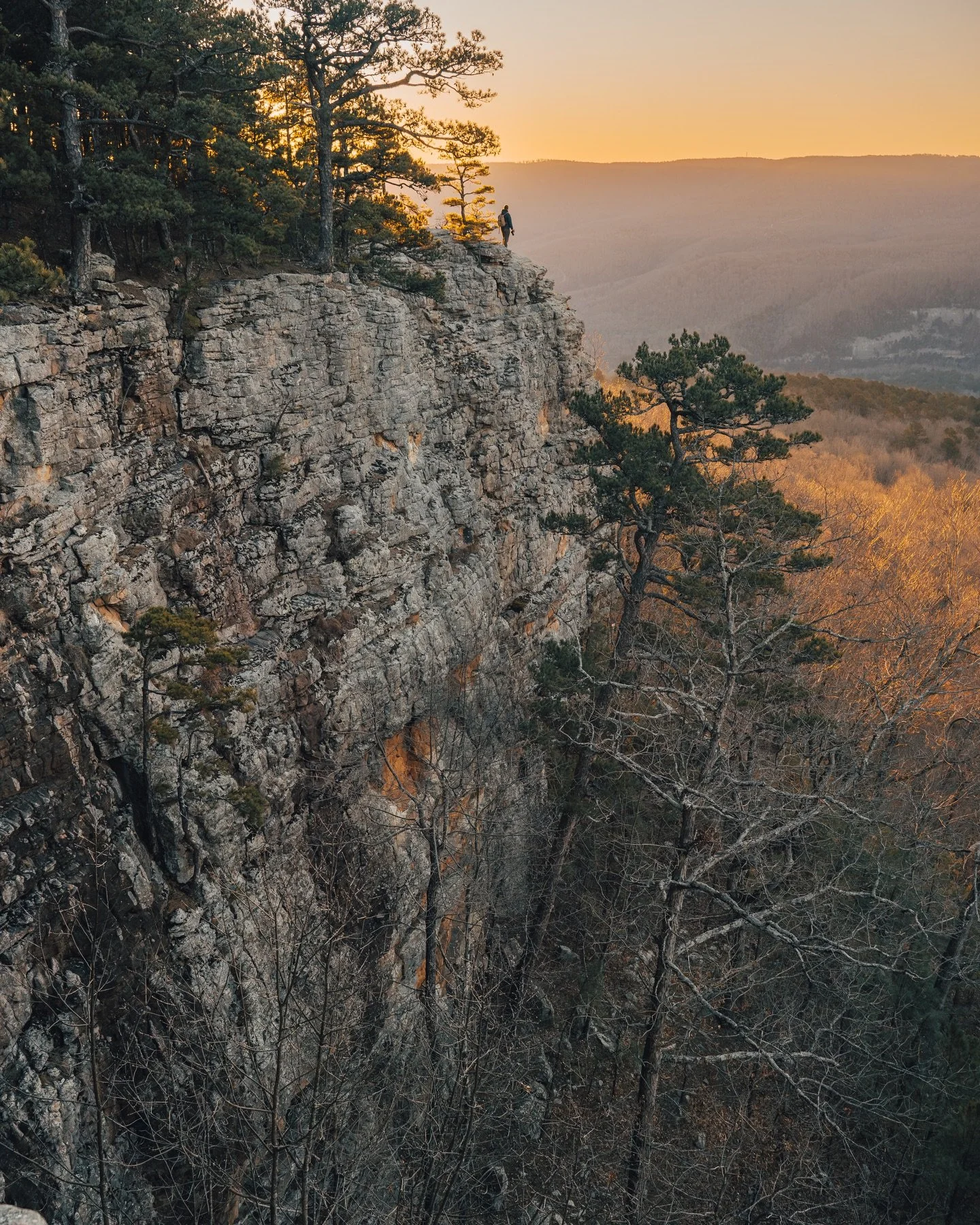 Another week of going through the archives and pulling my favorites for #throwbackthurday 📸 Here is a collection of  images taken during the third week of February over the last 15 years! Each image was taken between February 15th-21st of its respec