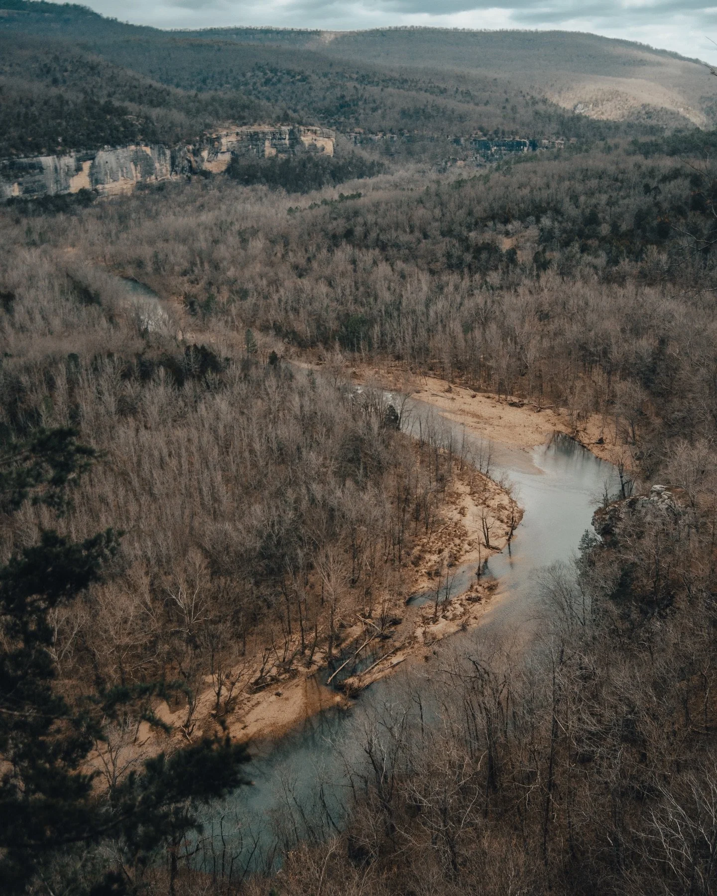 Another week of going through the archives and pulling my favorites for #throwbackthurday 📸 Here is a collection of images taken during the fourth week of February over the last 15 years! Each image was taken between February 22nd-28thof its respect