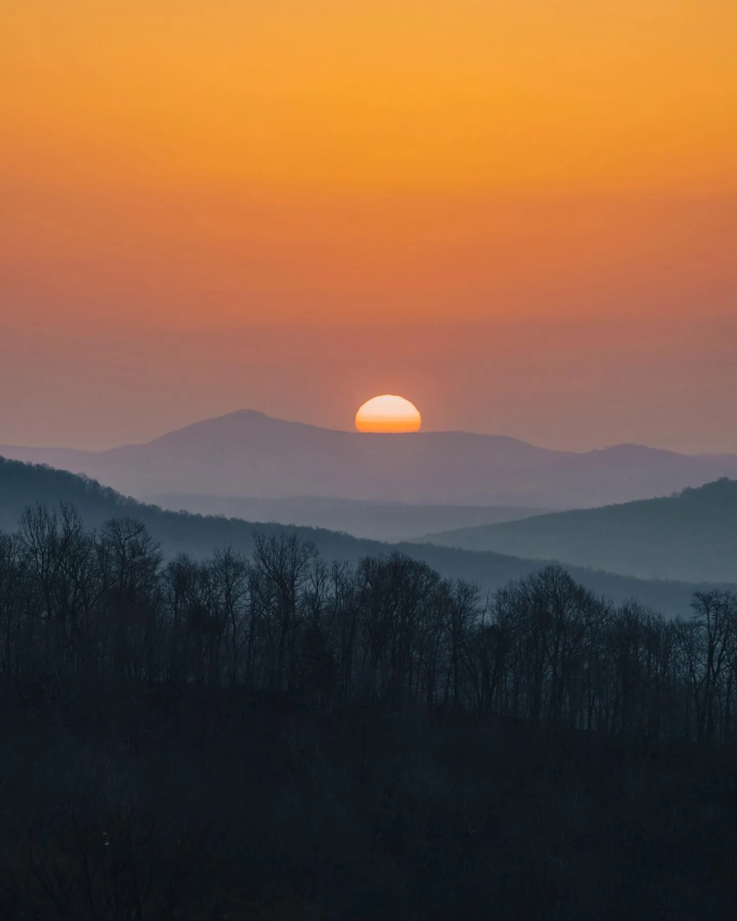 Unposted scenes from the last month around the the Ozarks ✨