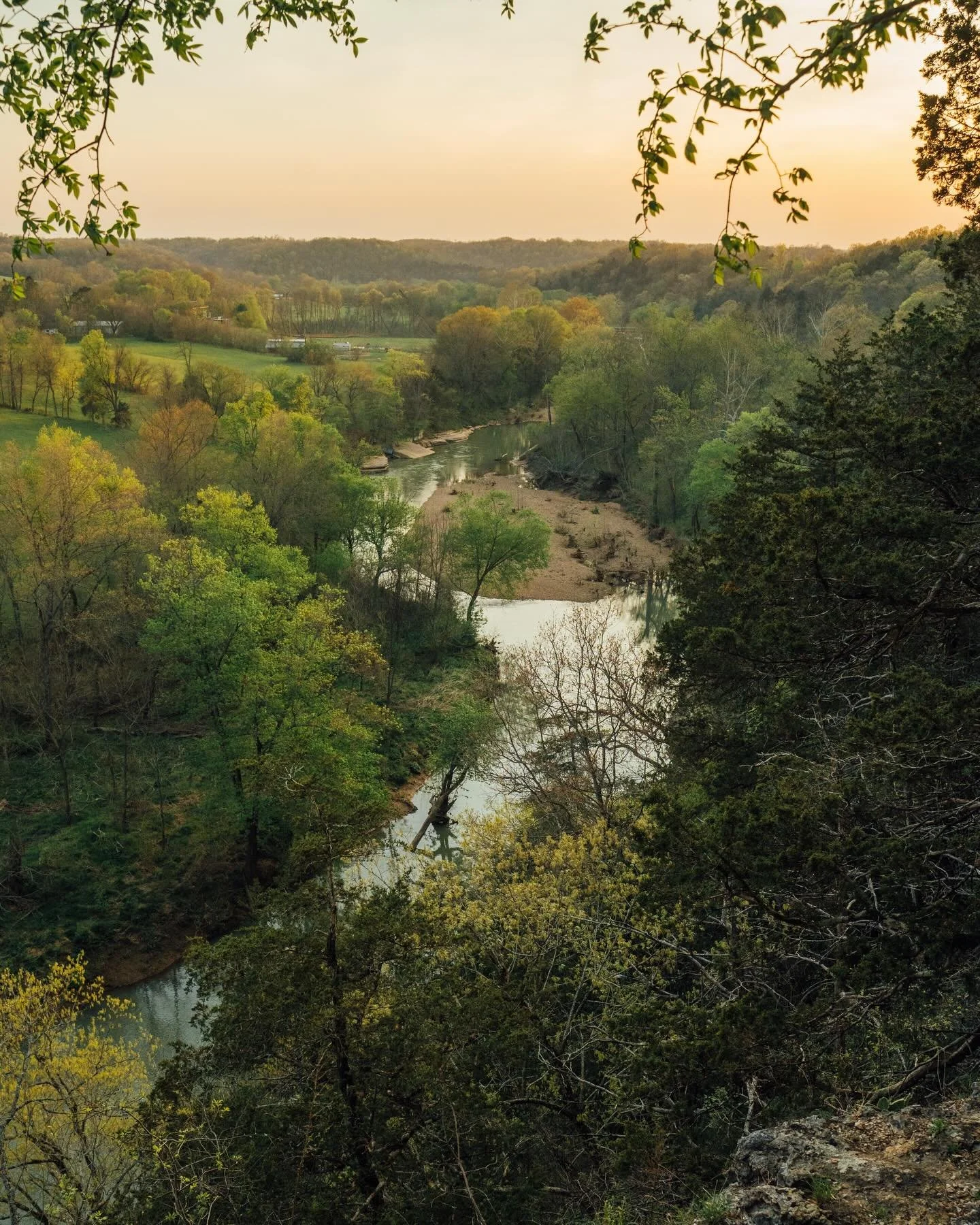 A few scenes from the last week around Arkansas ✨