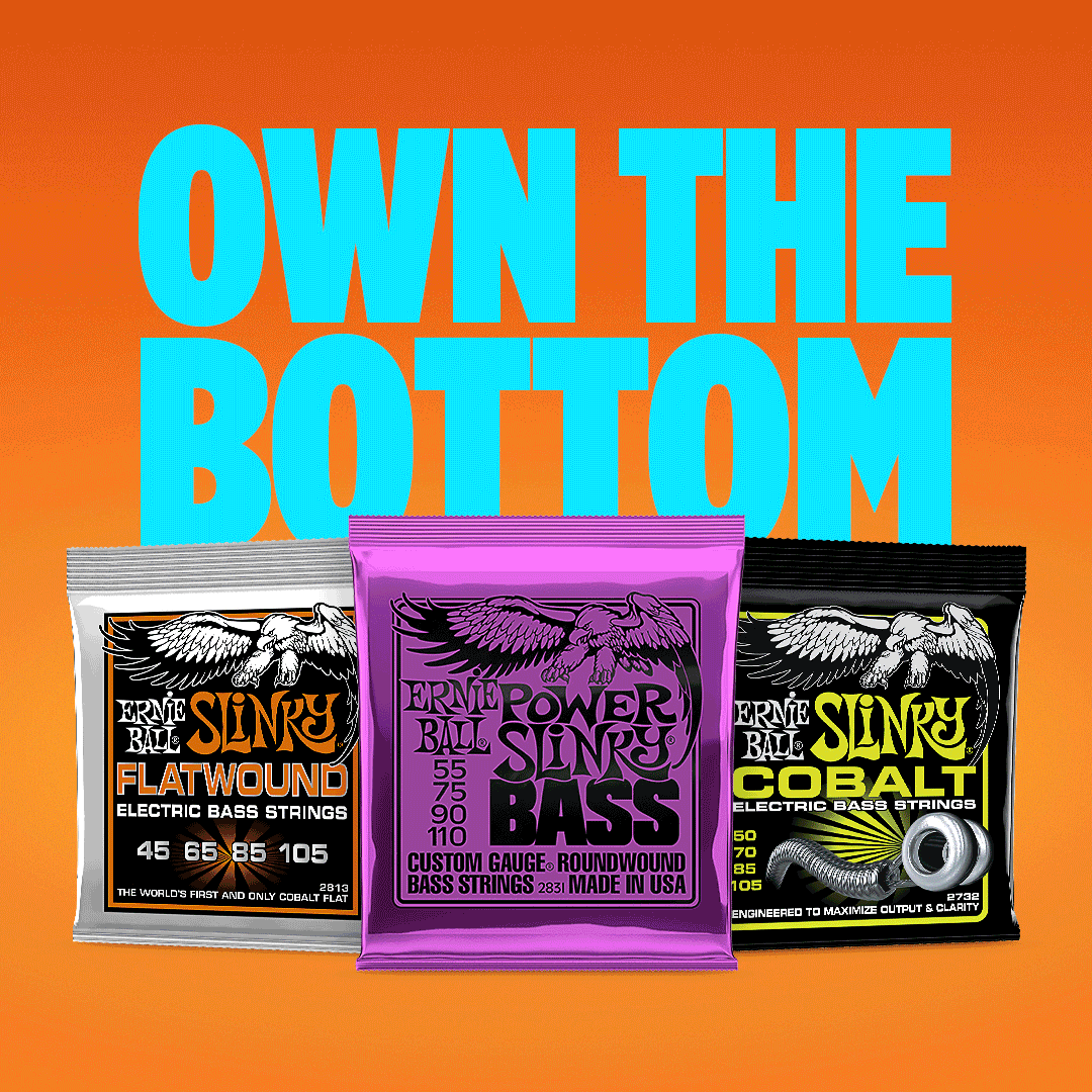 Ernie Ball Own the Bottom
