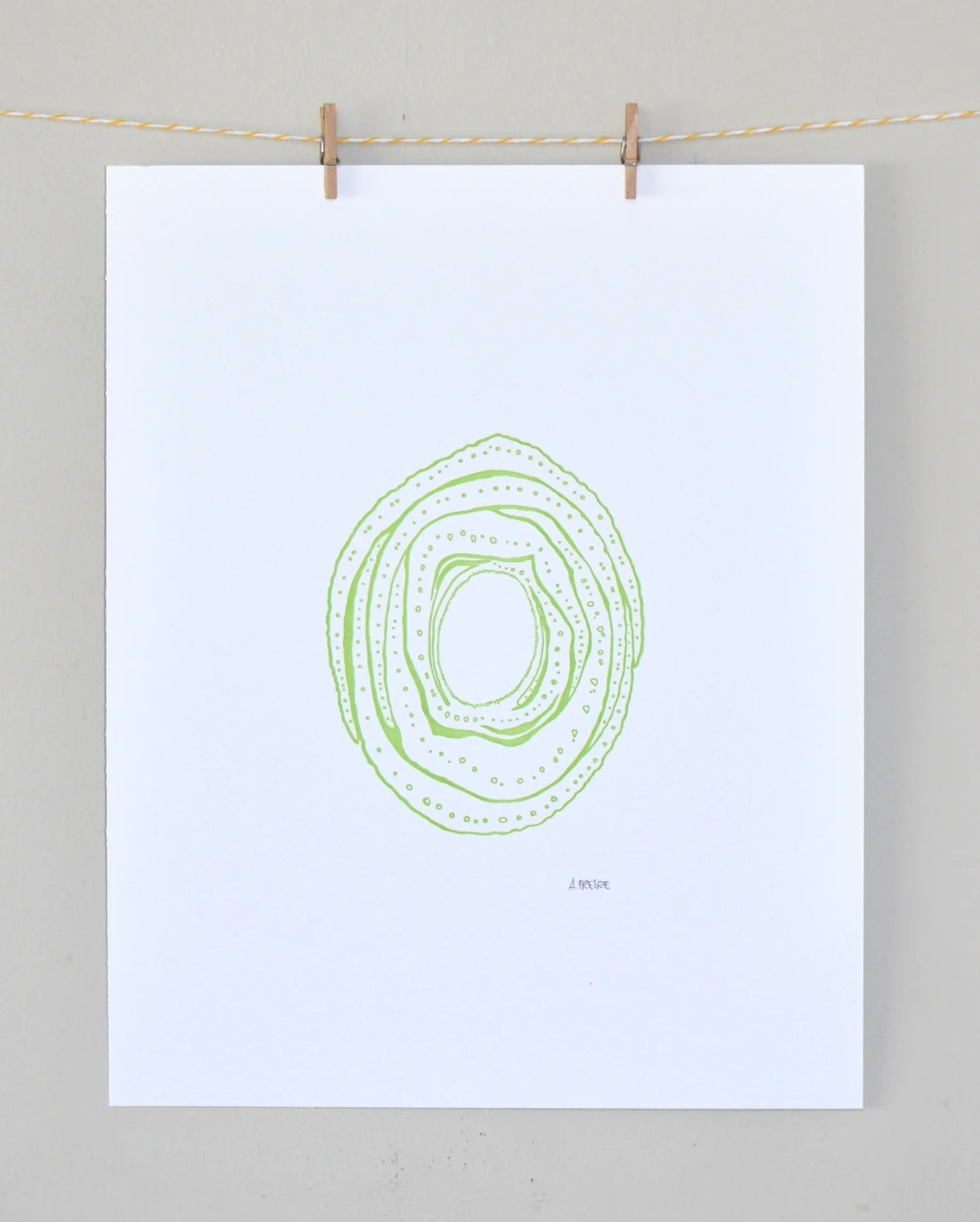 Fennel 1.jpg