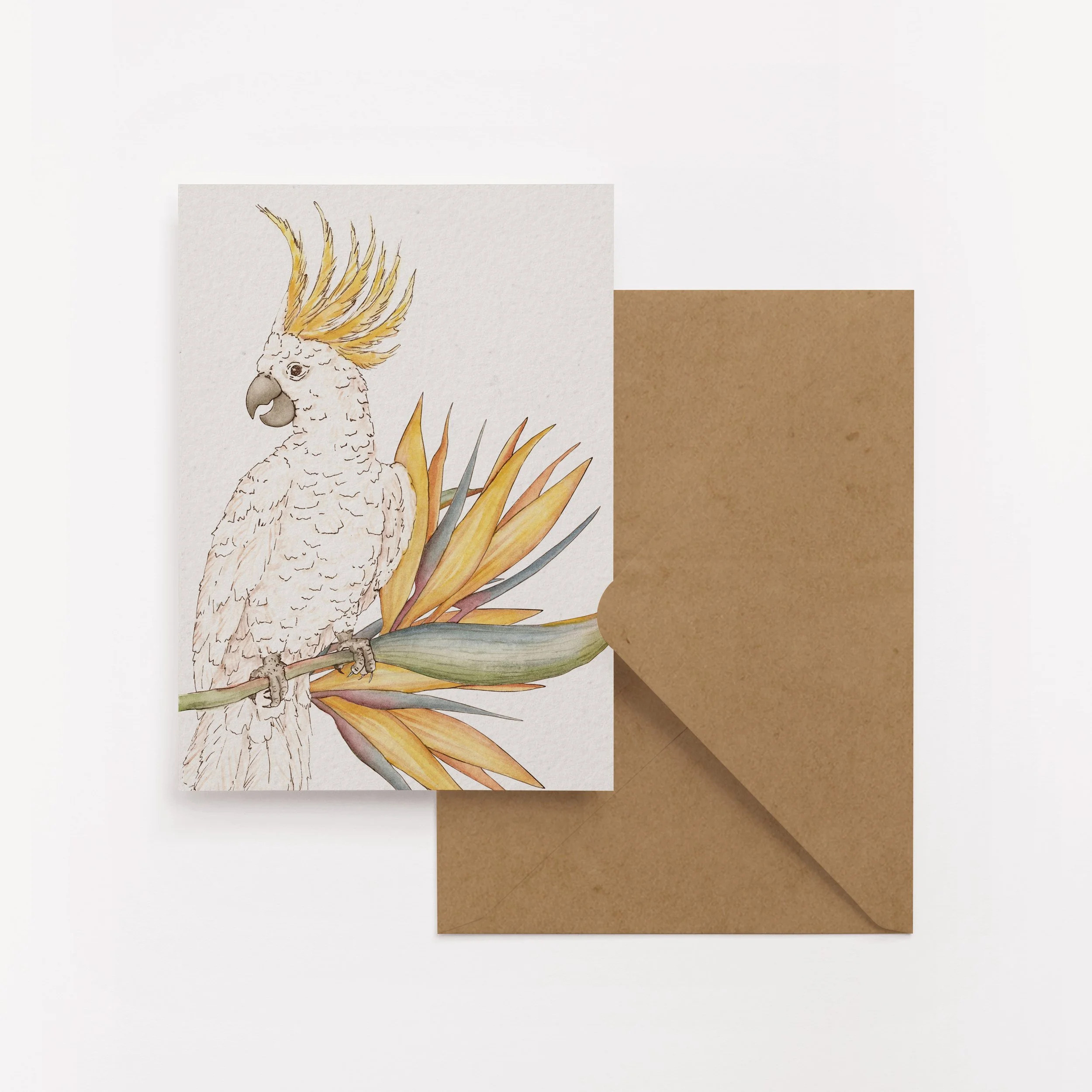 Cockatoo_allured deisgn card.jpg