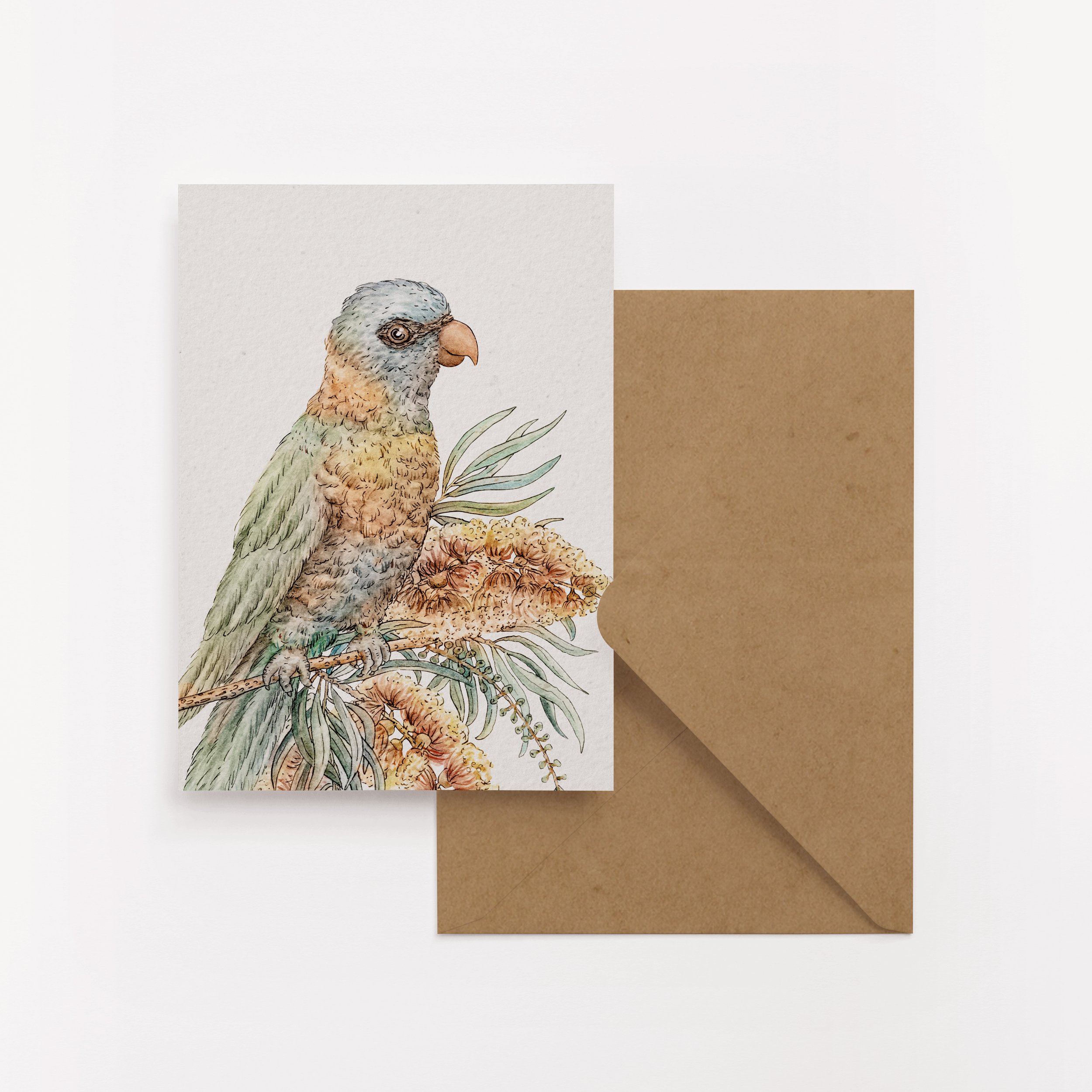 Bird Card Set | 2