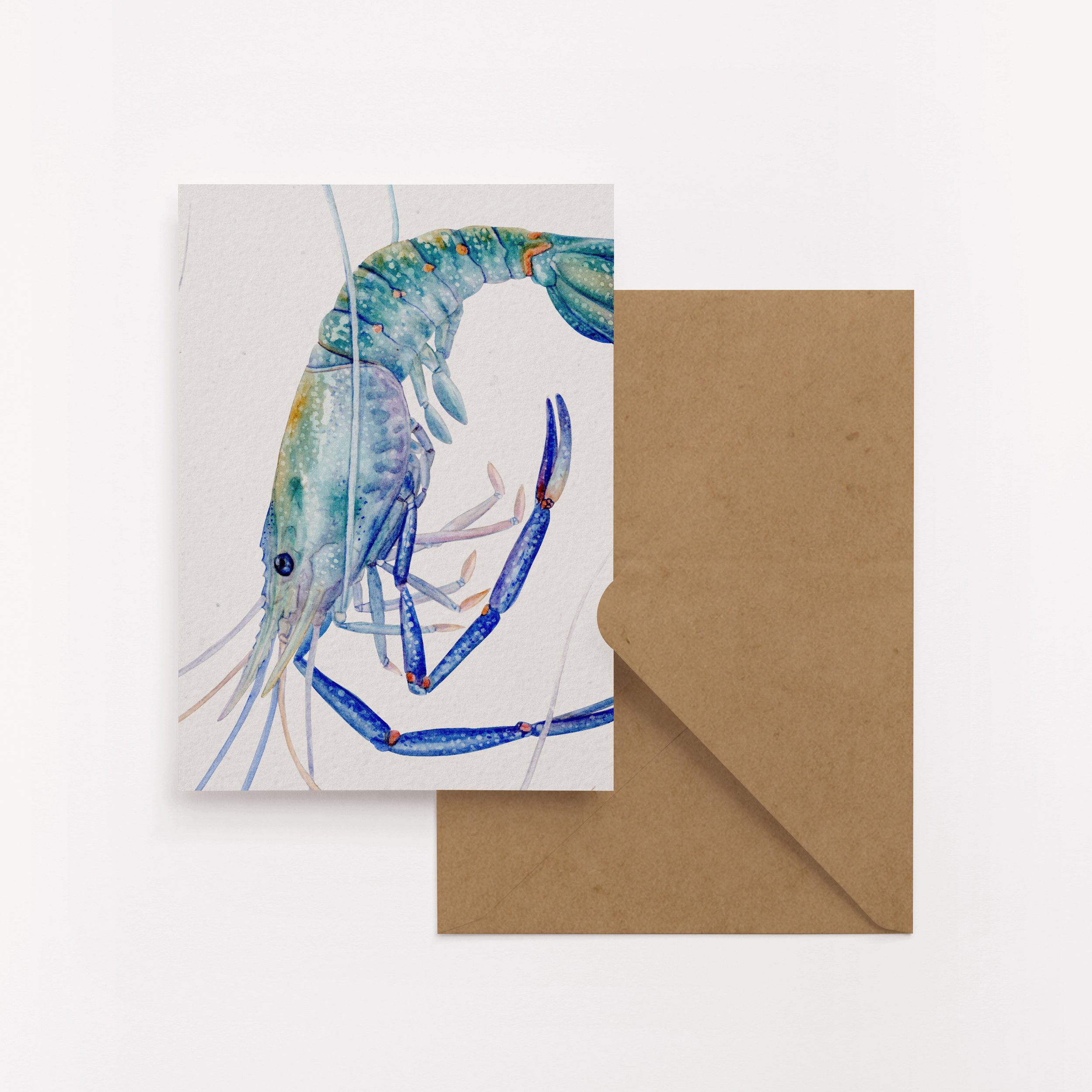 Red Claw x Cherubin Card Set | 2