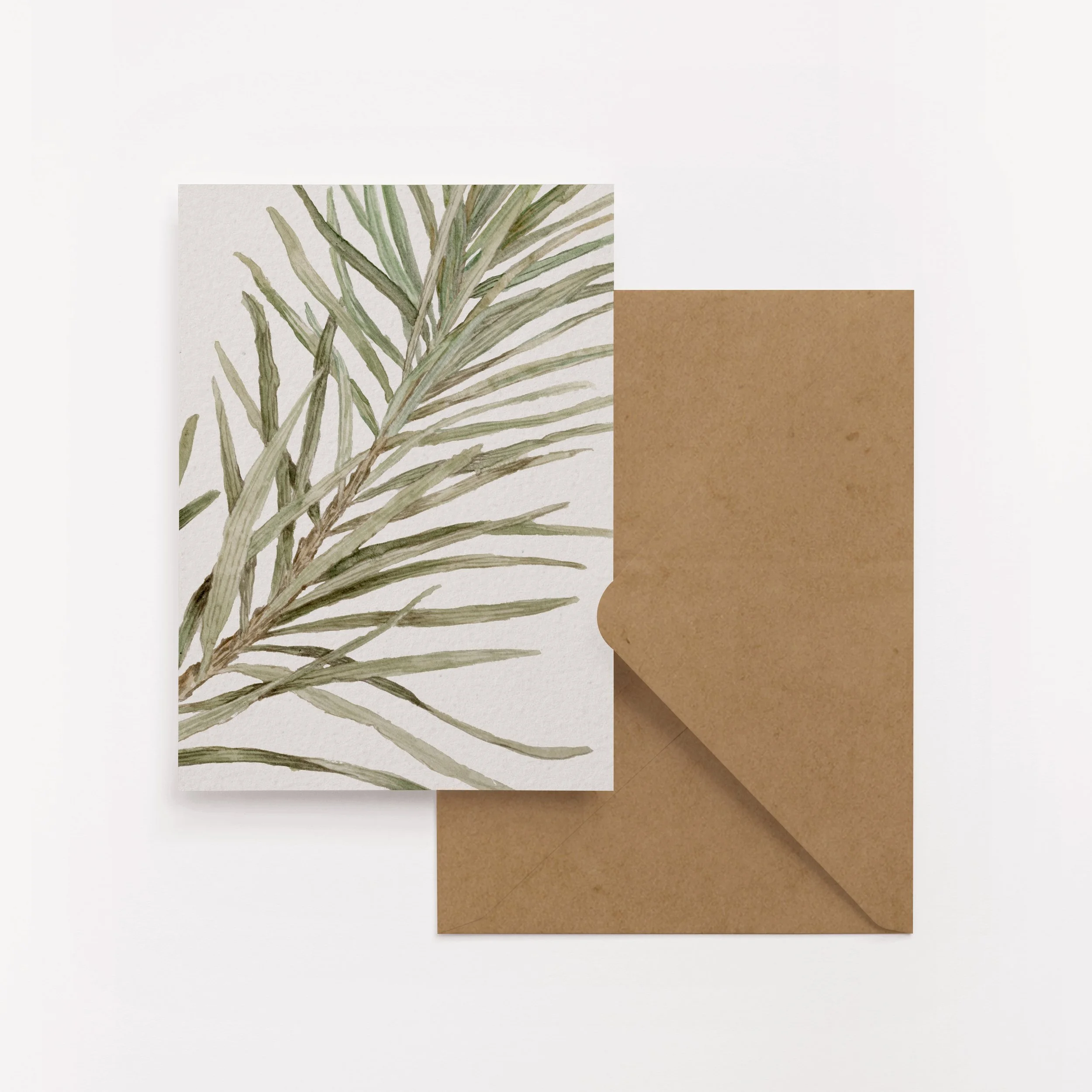 Wattle and Palm tree Christmas Card Set | 2