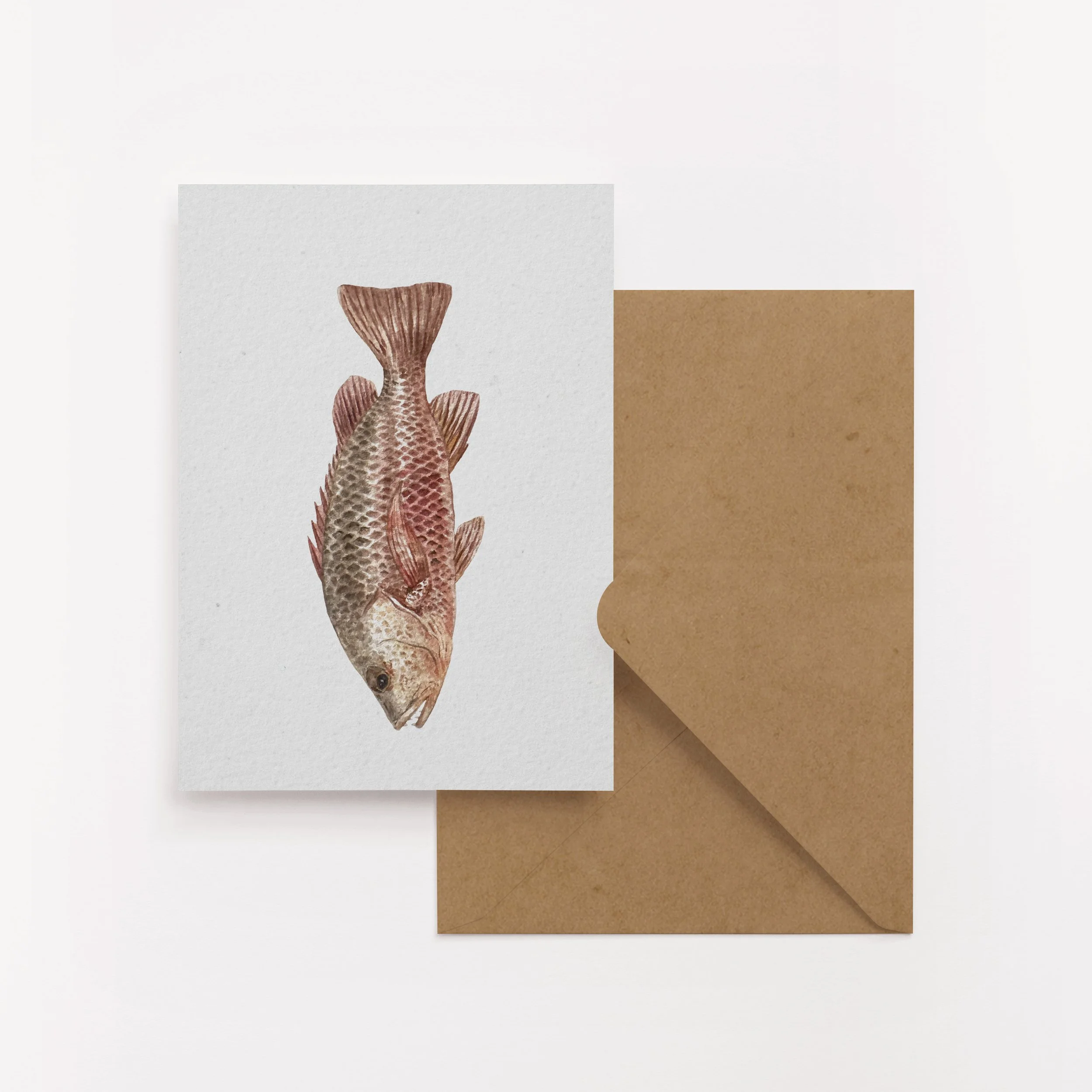 Red Fish Card Set | 2