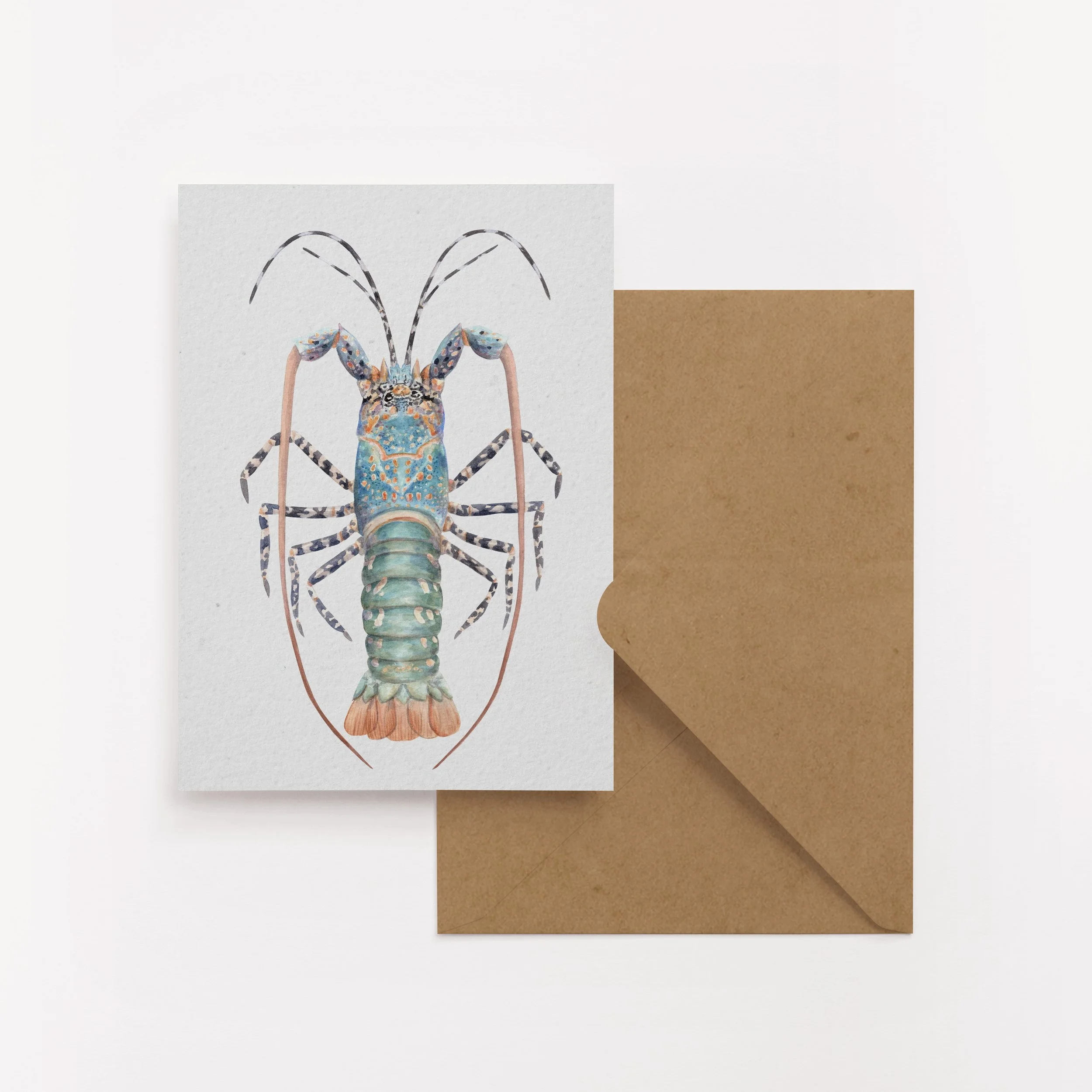 Crayfish x Squid Card Set | 2