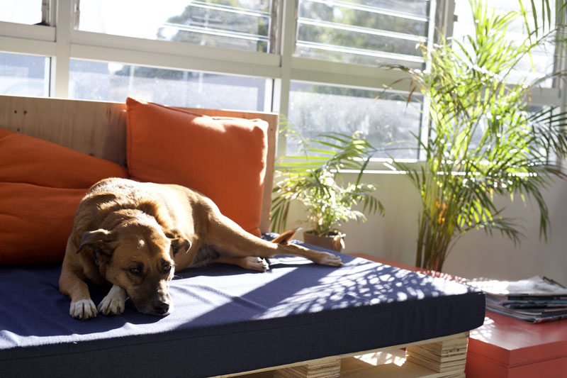 Relax on the daybed