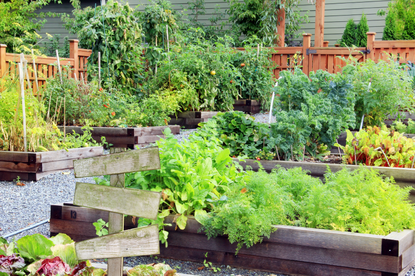 communal garden.PNG
