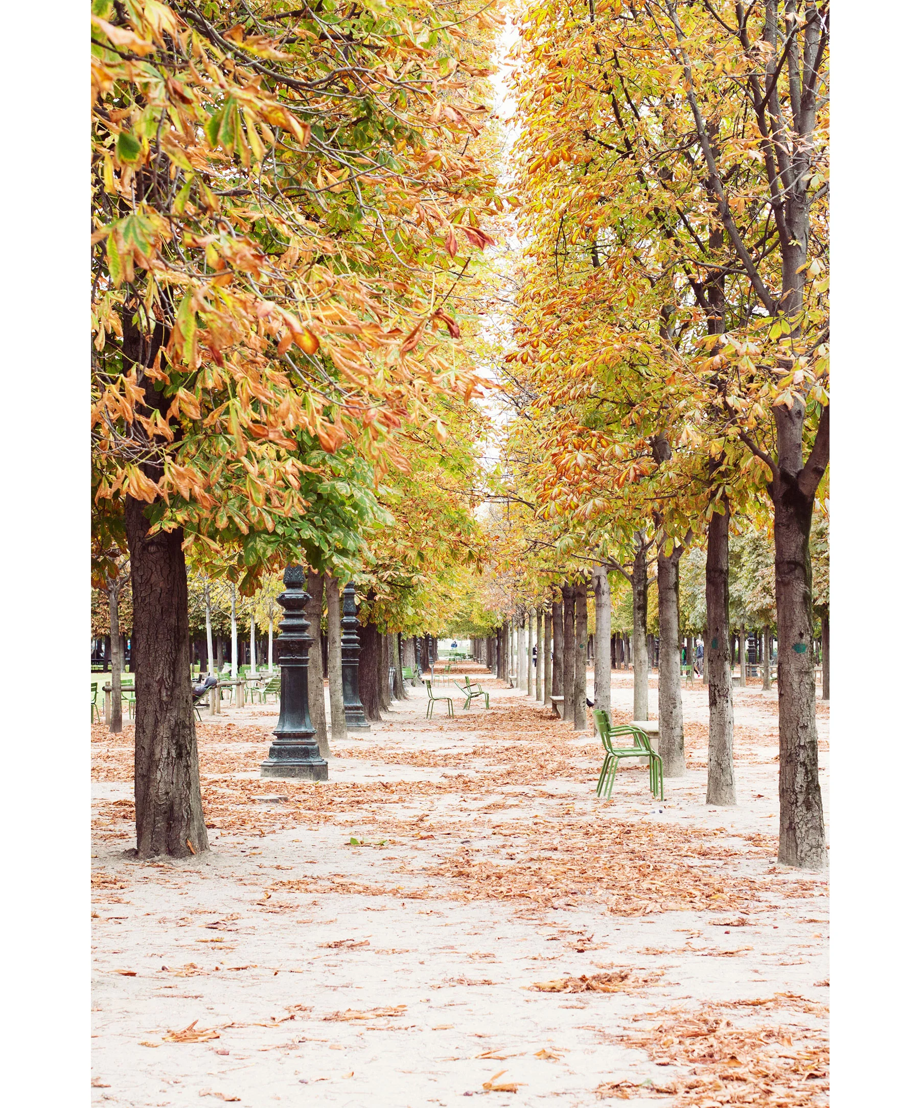 autumn02.jpg