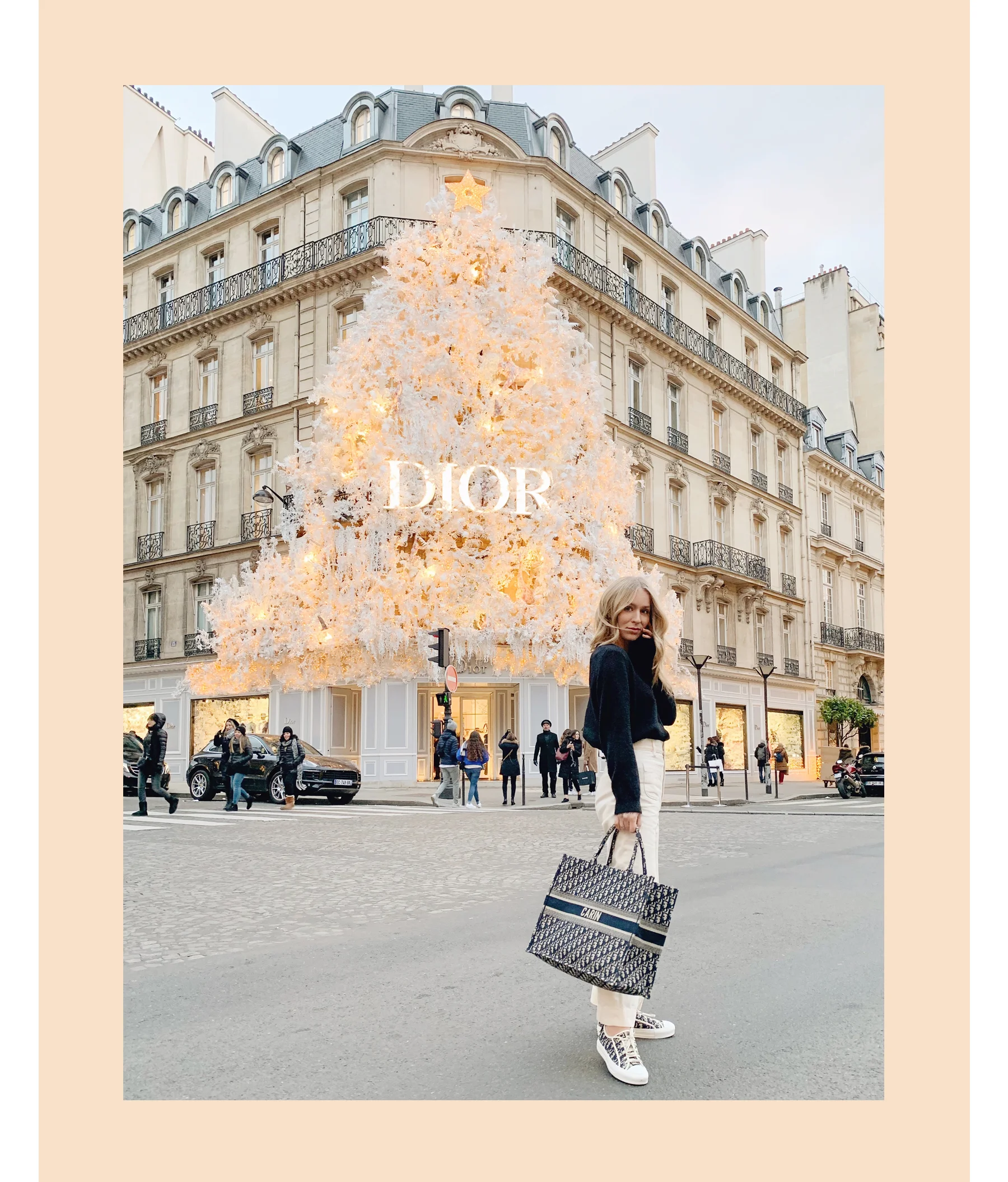 diorchristmas2.jpg