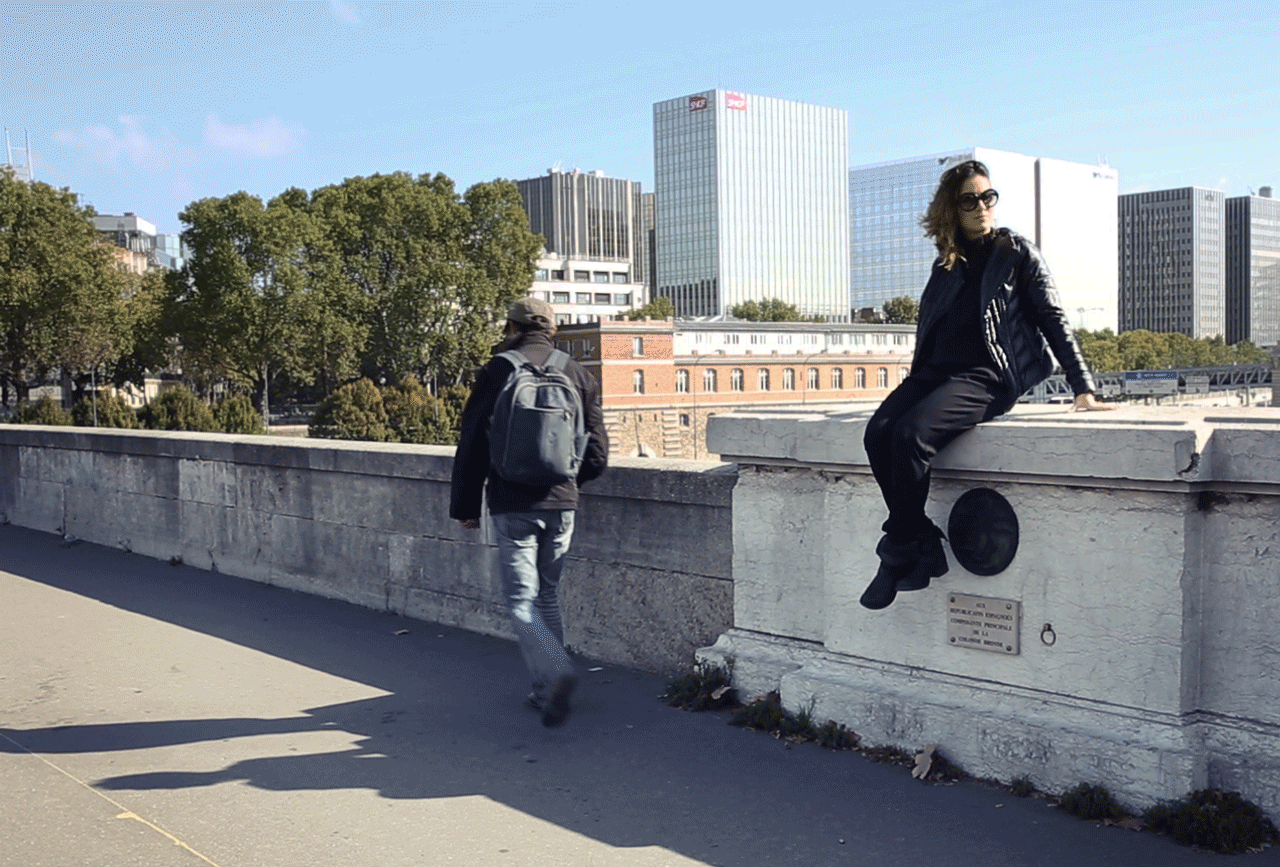 Pont d'Austerlitz, Paris, 2015