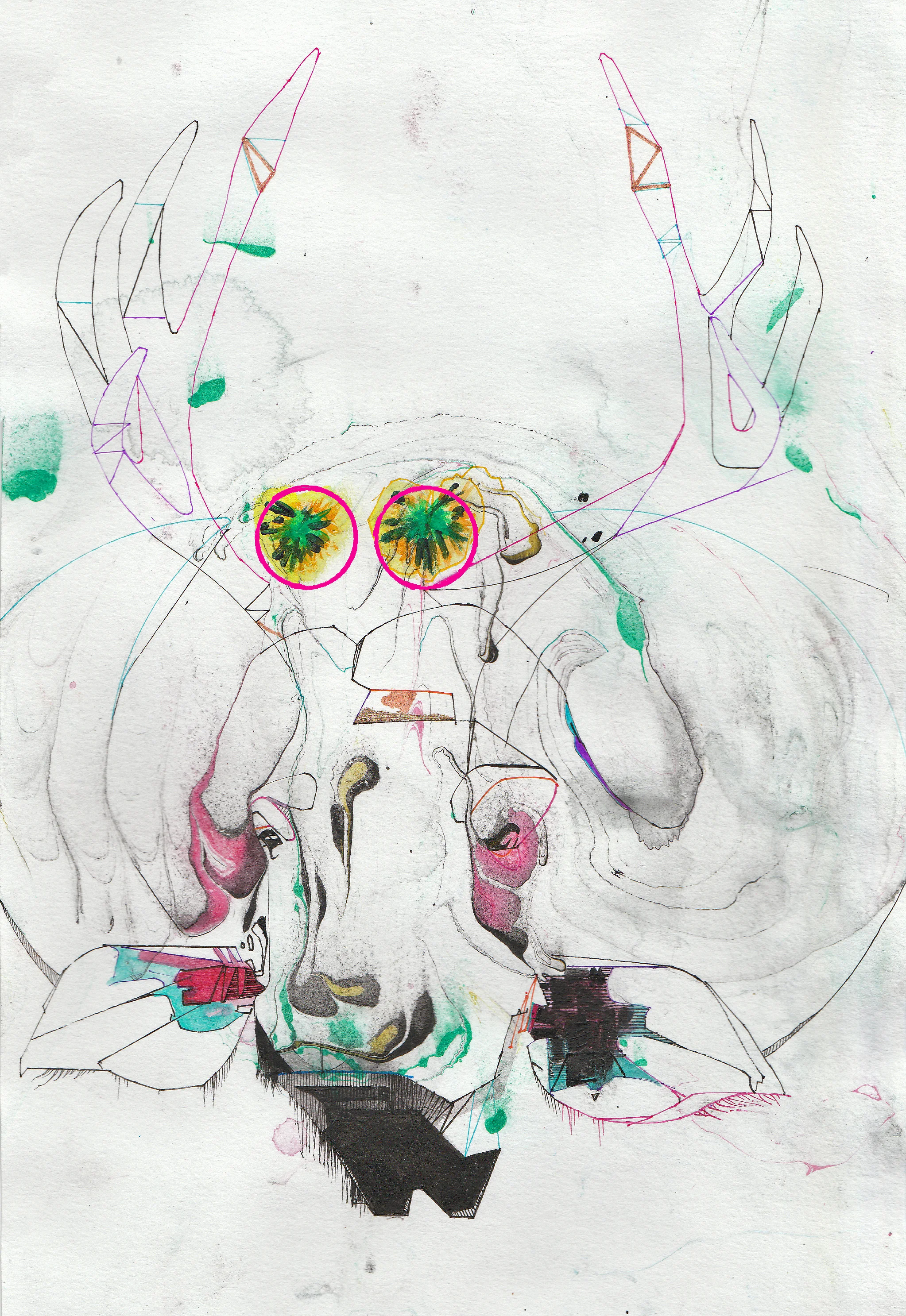 (african) buffalo + (american) deer