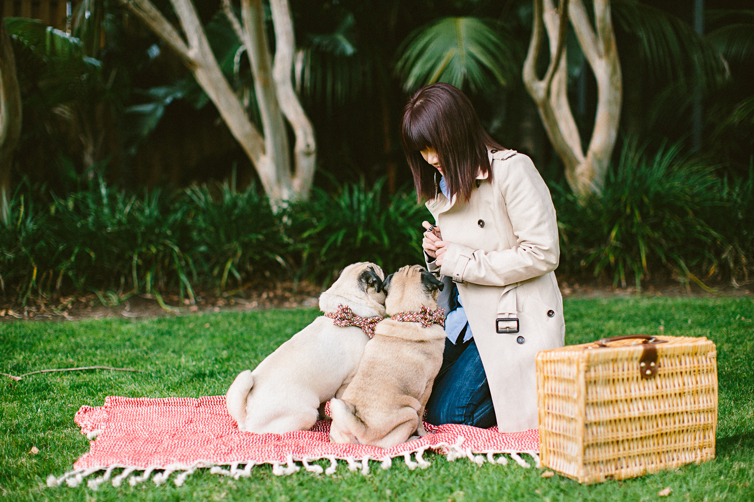 twoguineapigs_pet_photography_oh_jaffa_picnic_pugs_1500-1.jpg