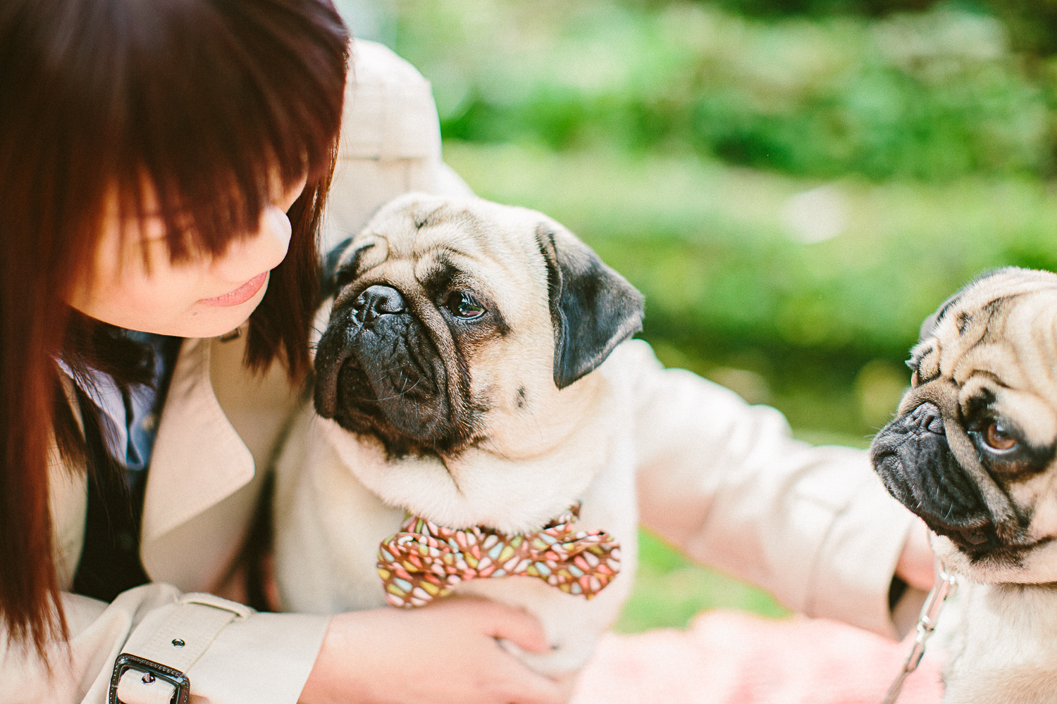 twoguineapigs_pet_photography_oh_jaffa_picnic_pugs_1500-4.jpg