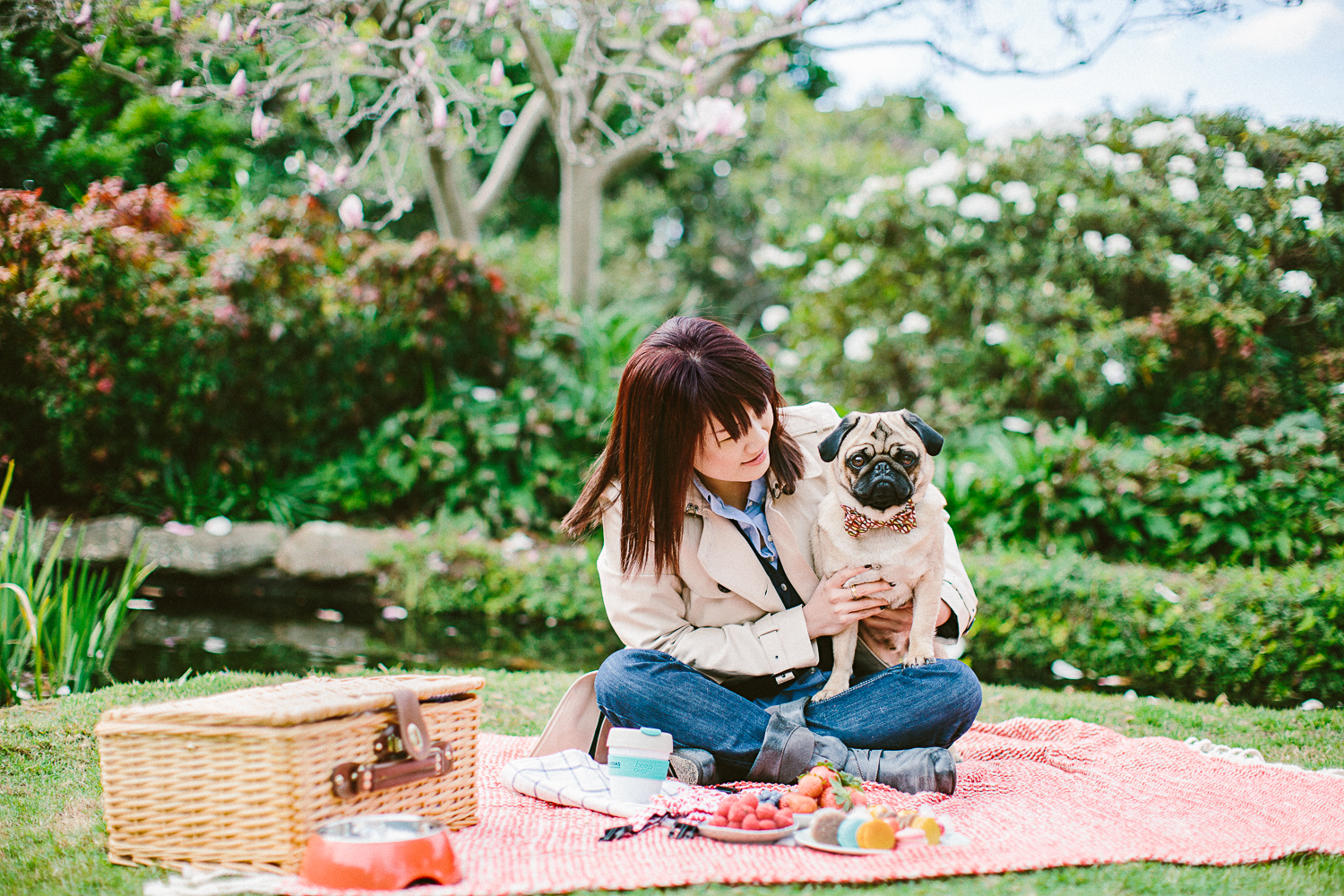 twoguineapigs_pet_photography_oh_jaffa_picnic_pugs_1500-8.jpg