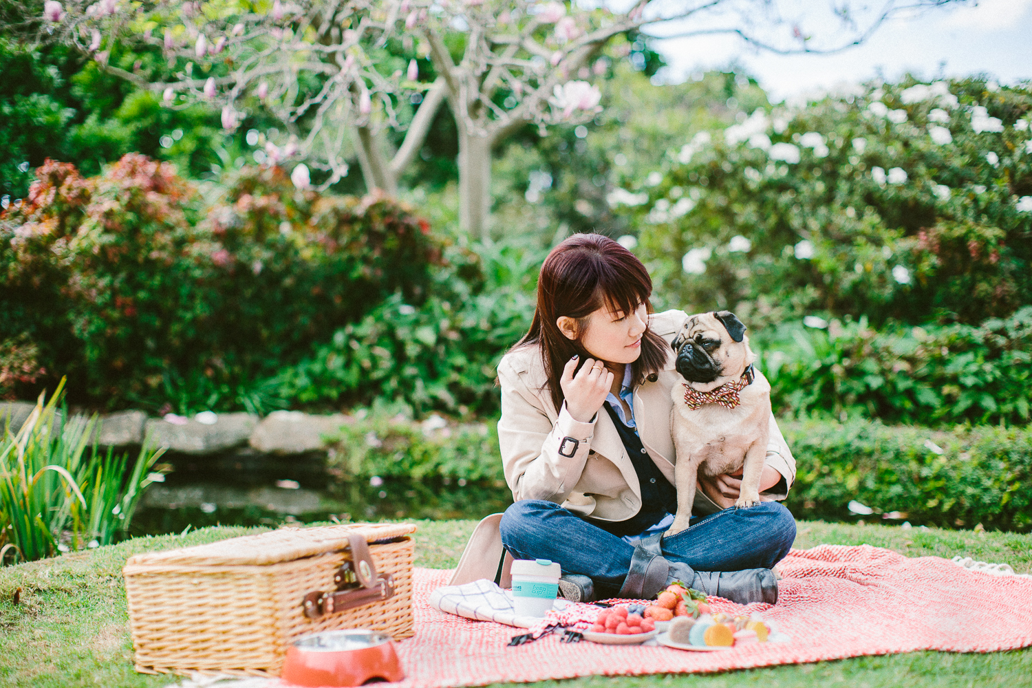 twoguineapigs_pet_photography_oh_jaffa_picnic_pugs_1500-9.jpg