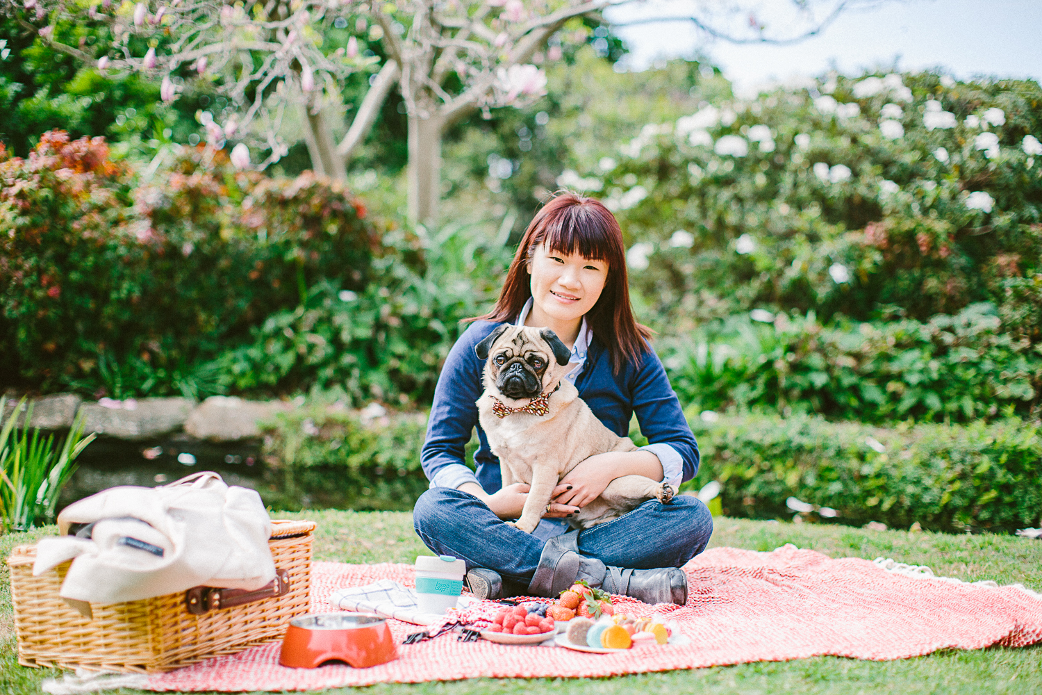 twoguineapigs_pet_photography_oh_jaffa_picnic_pugs_1500-11.jpg