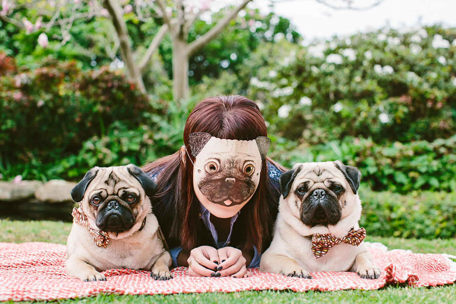 twoguineapigs_pet_photography_oh_jaffa_picnic_pugs_1500-20.jpg