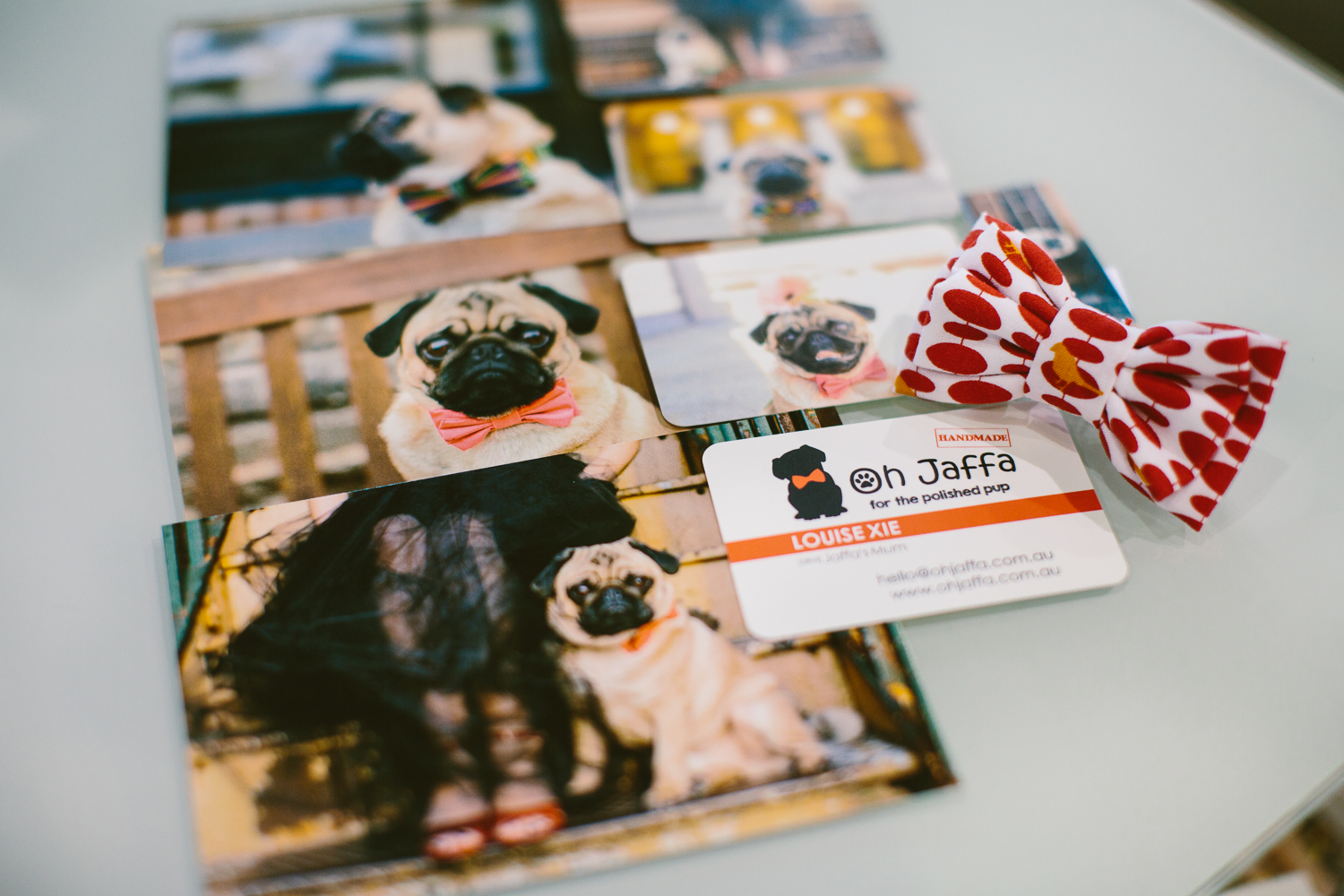 twoguineapigs_pet_photography_oh_jaffa_bow_ties_pug_dog_lovers_show_1500-31.jpg