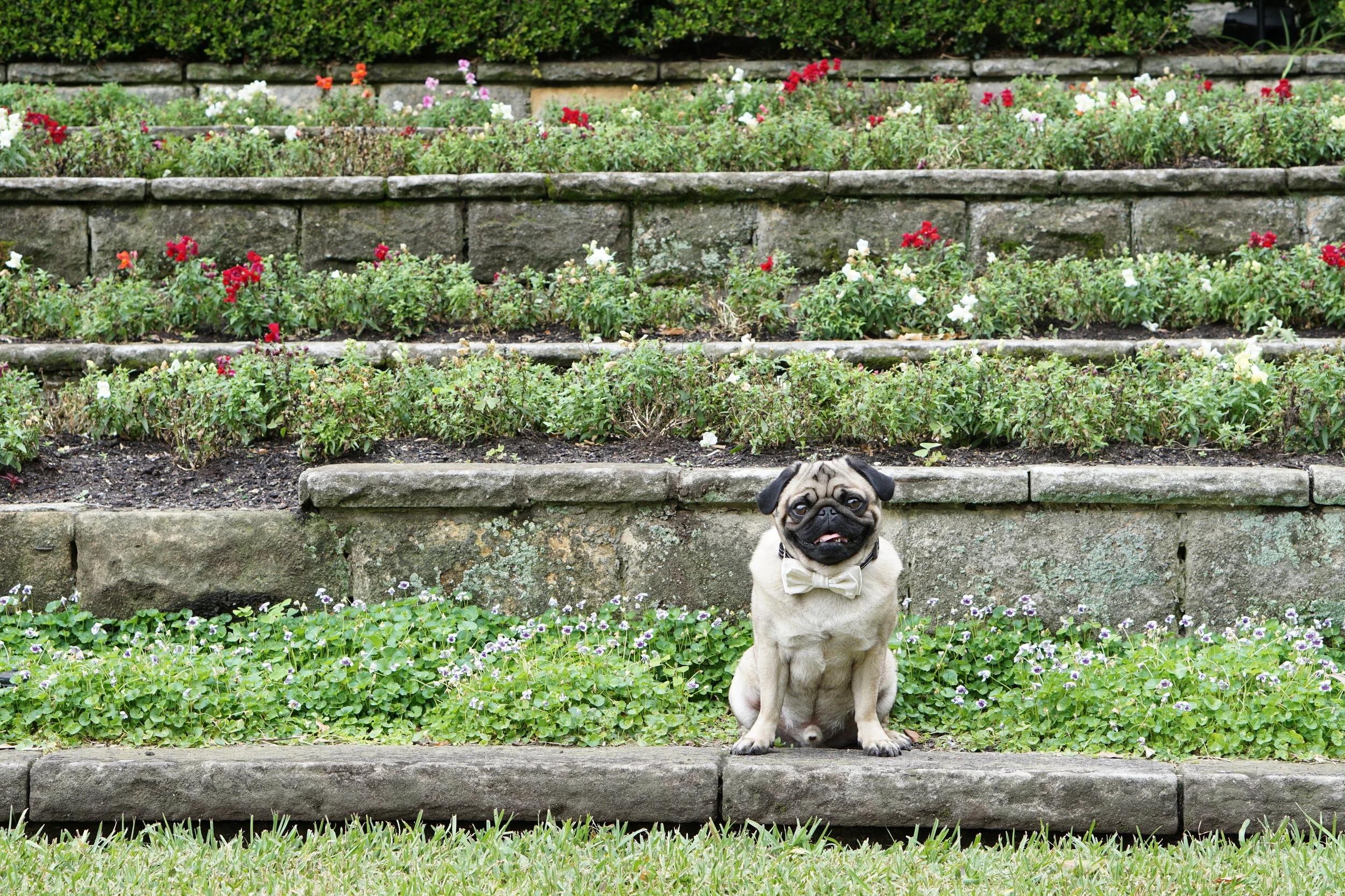 My Brother's Wedding