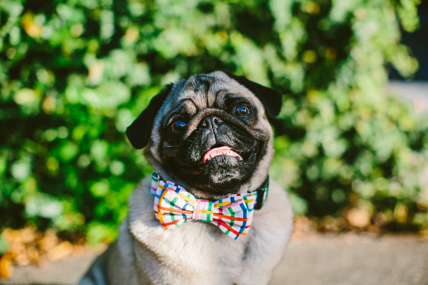 oh jaffa- rainbow grid