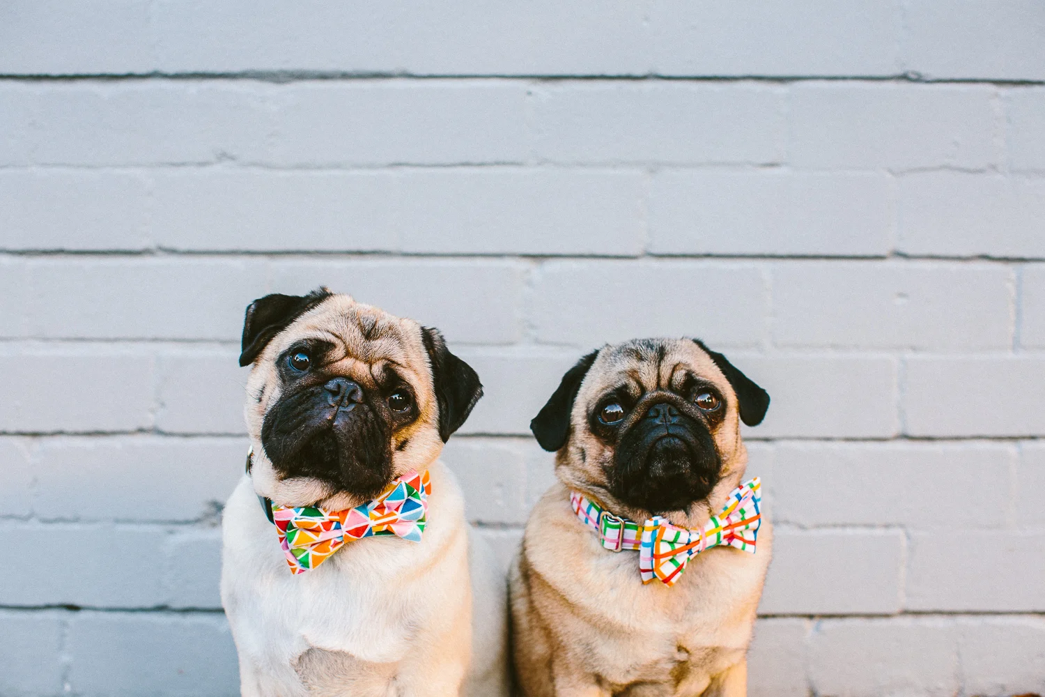 oh jaffa - rainbow grid & diamond