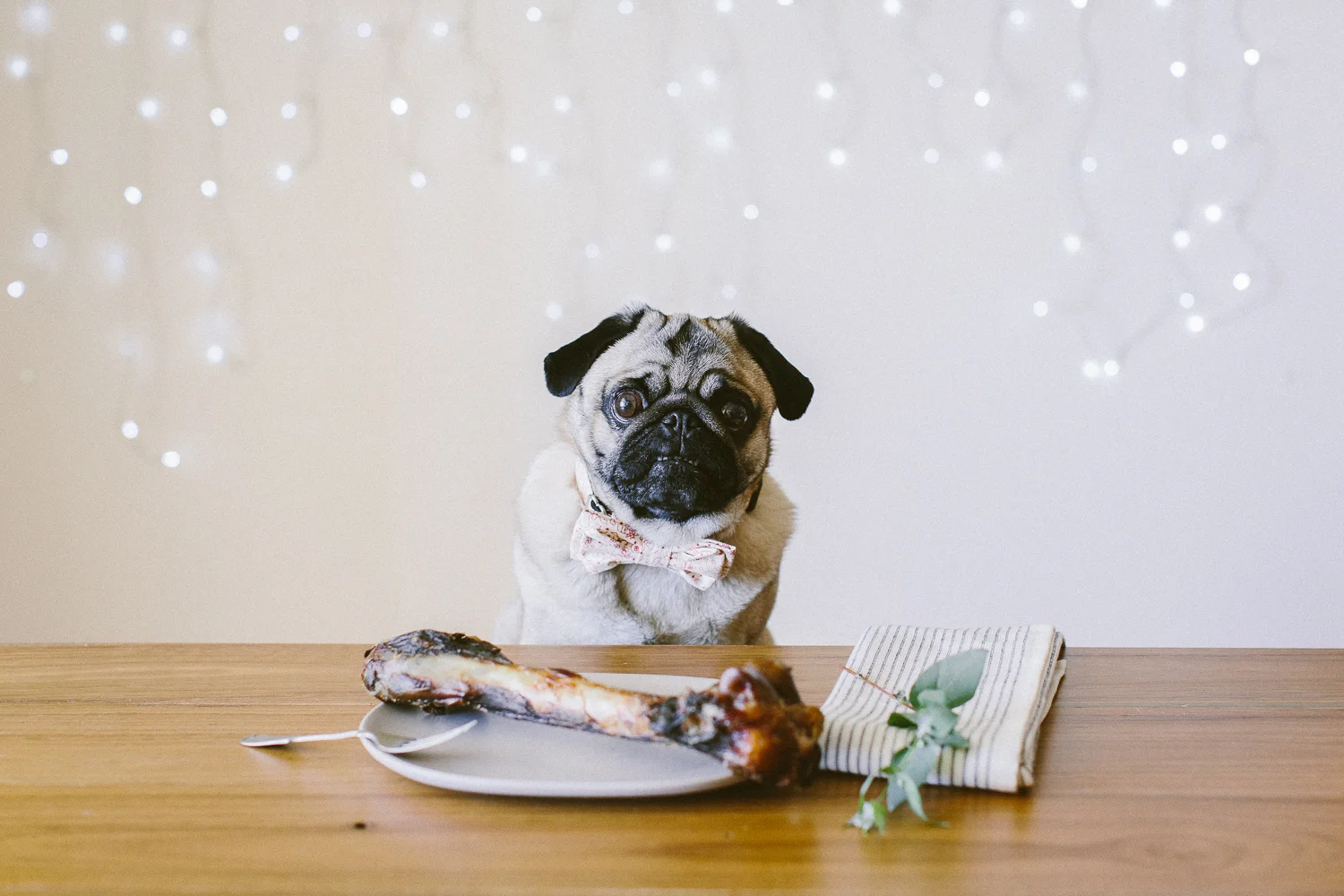 © twoguineapigs_jkblackwell_ohjaffa_christmas_bowtie_collection_WEBSITE-3.jpg