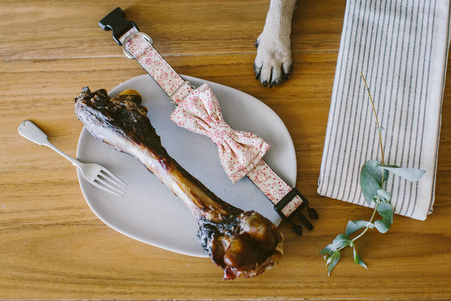 © twoguineapigs_jkblackwell_ohjaffa_christmas_bowtie_collection_WEBSITE-7.jpg