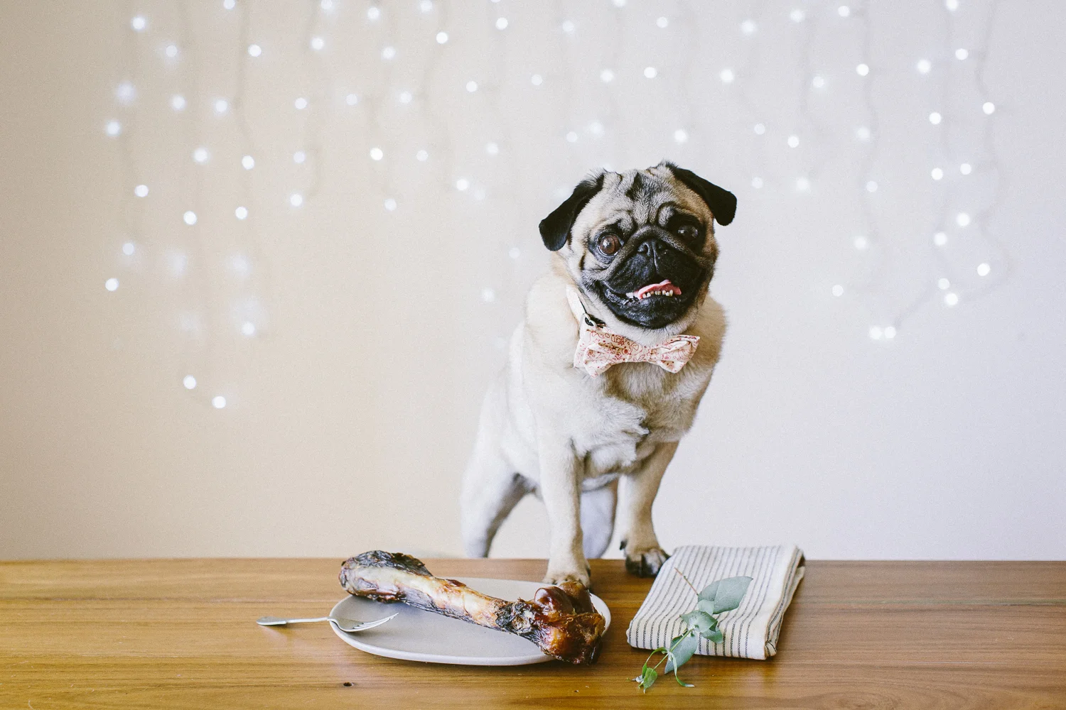 © twoguineapigs_jkblackwell_ohjaffa_christmas_bowtie_collection_WEBSITE-4.jpg
