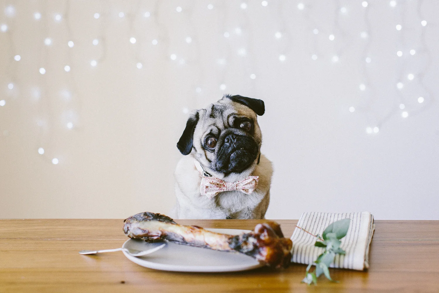 © twoguineapigs_jkblackwell_ohjaffa_christmas_bowtie_collection_WEBSITE-2.jpg