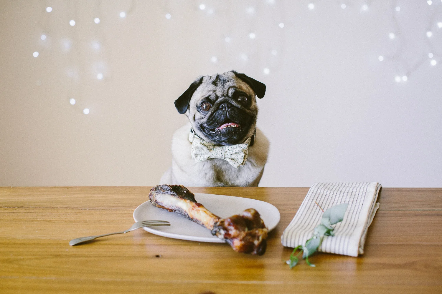 © twoguineapigs_jkblackwell_ohjaffa_christmas_bowtie_collection_WEBSITE-10.jpg