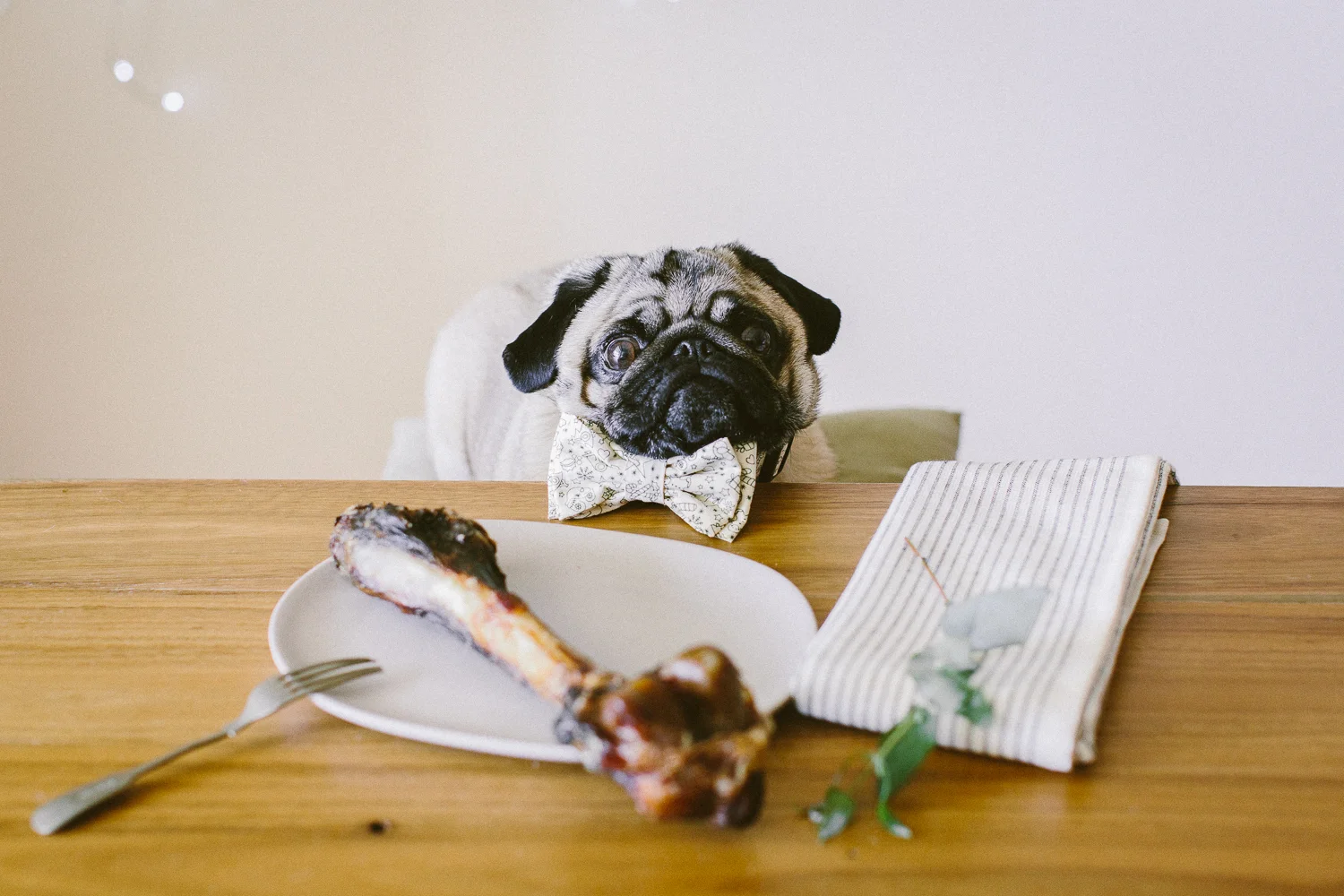 © twoguineapigs_jkblackwell_ohjaffa_christmas_bowtie_collection_WEBSITE-14.jpg