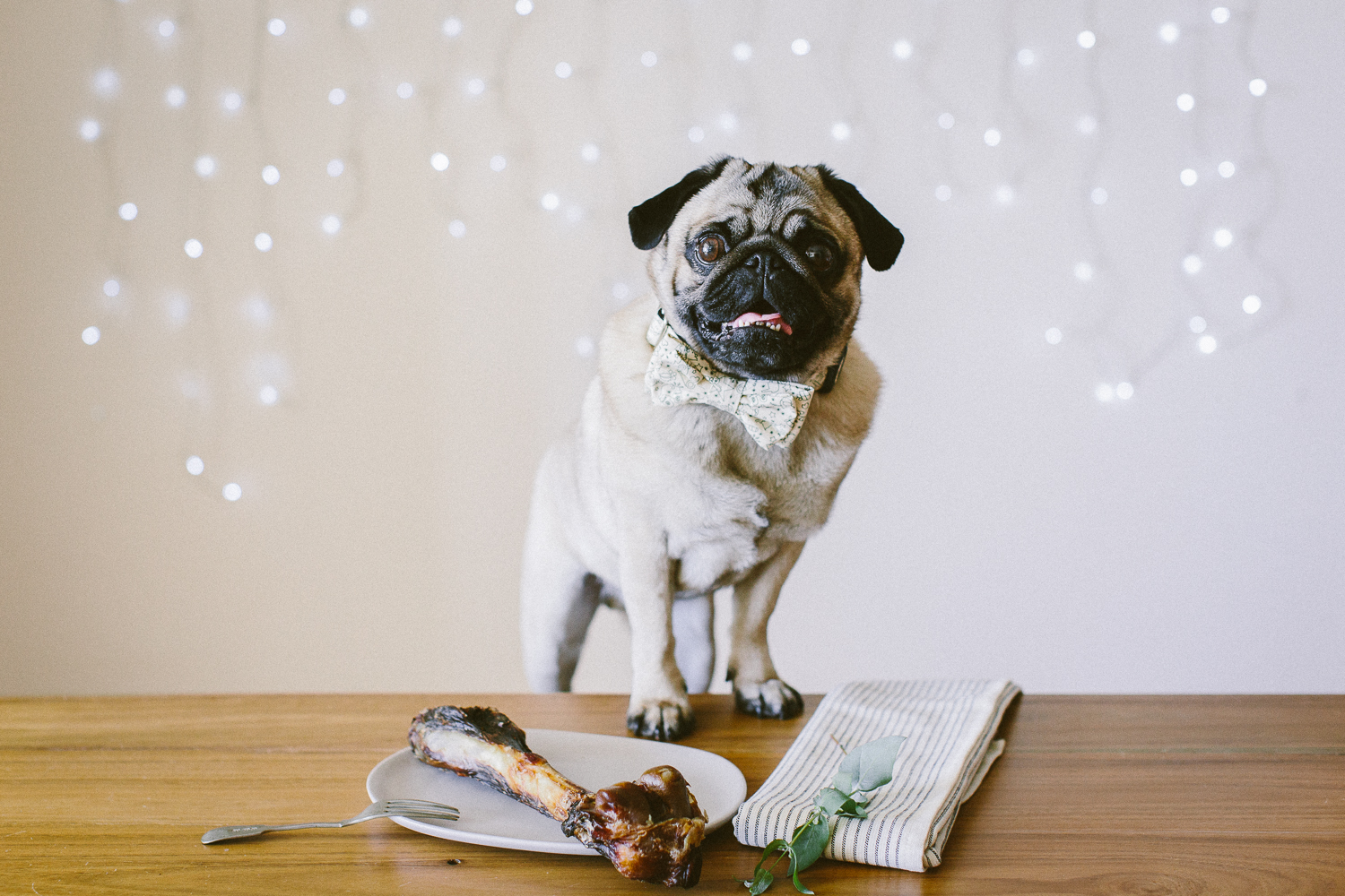 © twoguineapigs_jkblackwell_ohjaffa_christmas_bowtie_collection_WEBSITE-13.jpg