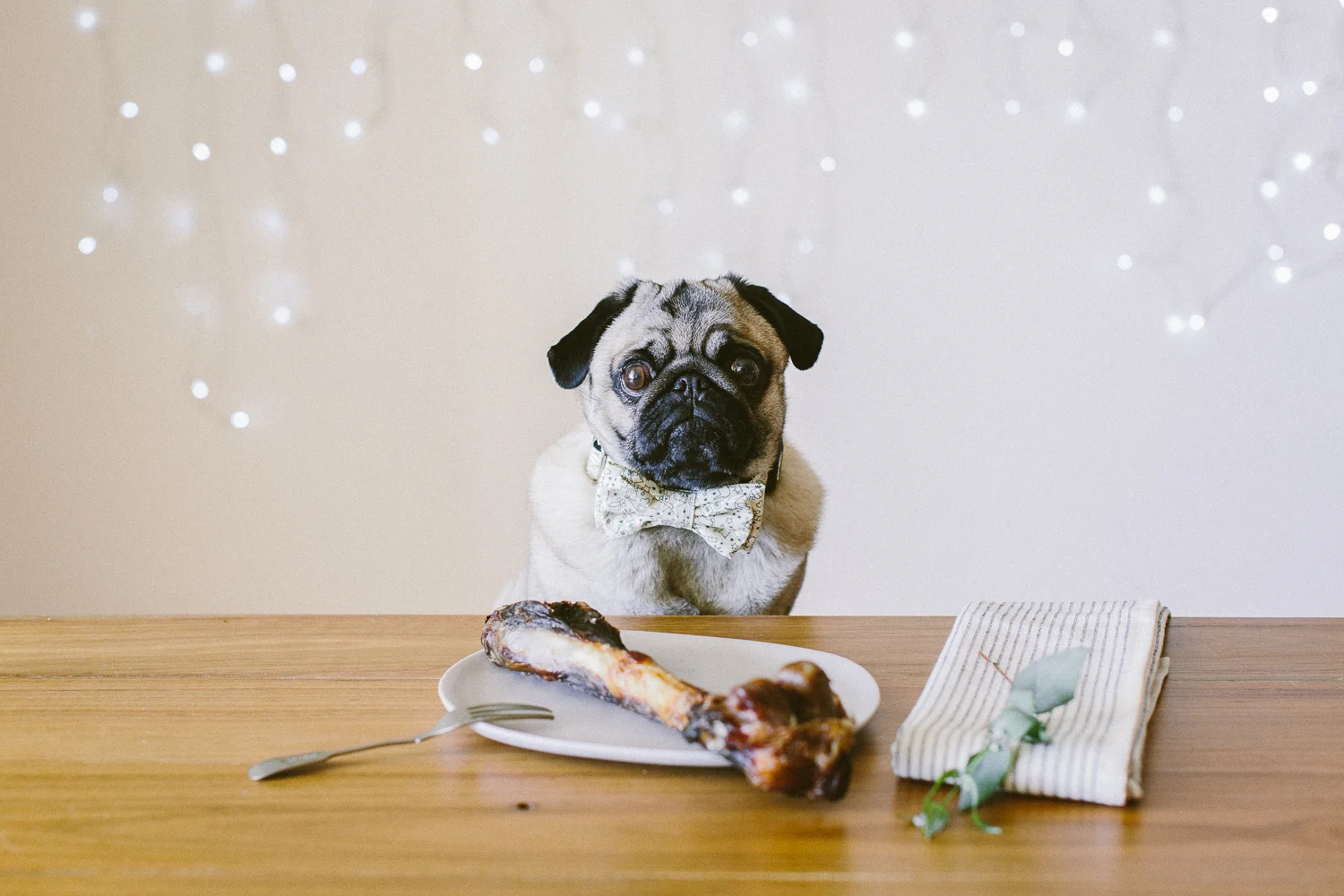 © twoguineapigs_jkblackwell_ohjaffa_christmas_bowtie_collection_WEBSITE-8.jpg