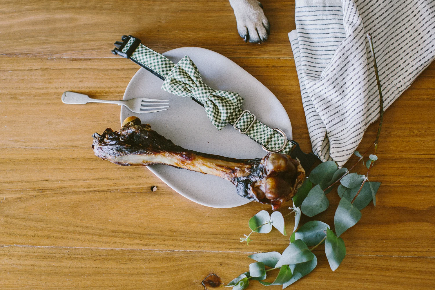 © twoguineapigs_jkblackwell_ohjaffa_christmas_bowtie_collection_WEBSITE-40.jpg