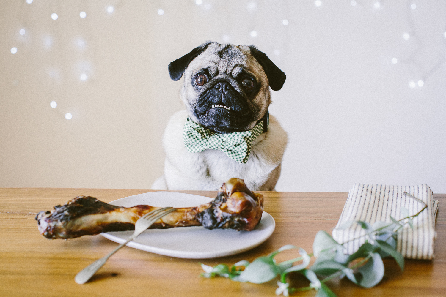 © twoguineapigs_jkblackwell_ohjaffa_christmas_bowtie_collection_WEBSITE-38.jpg