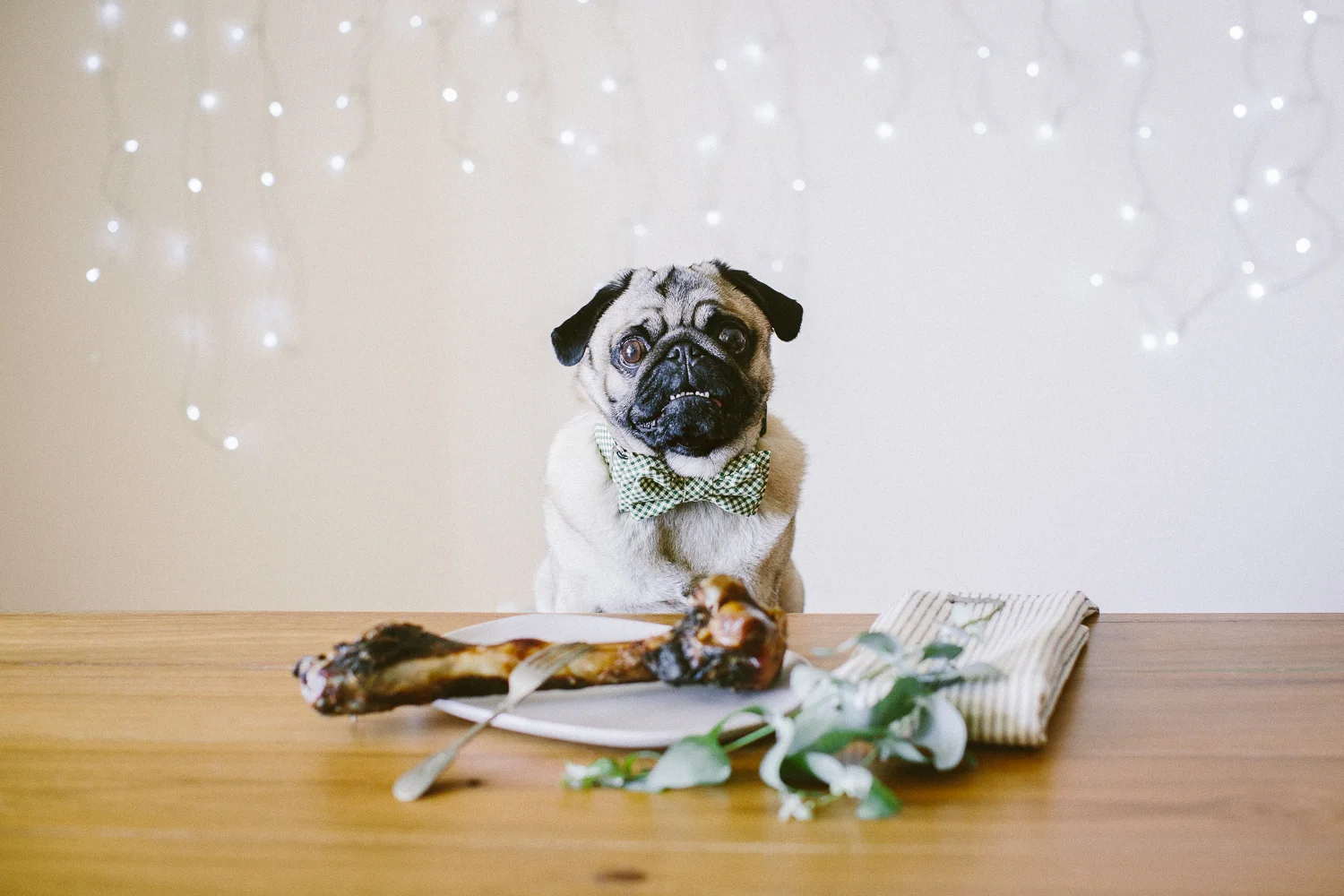 © twoguineapigs_jkblackwell_ohjaffa_christmas_bowtie_collection_WEBSITE-30.jpg