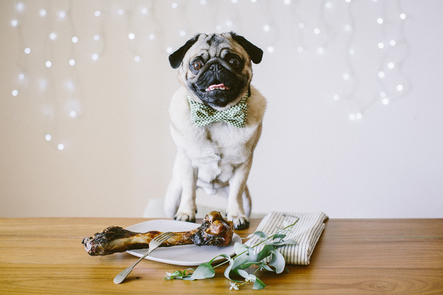 © twoguineapigs_jkblackwell_ohjaffa_christmas_bowtie_collection_WEBSITE-32.jpg