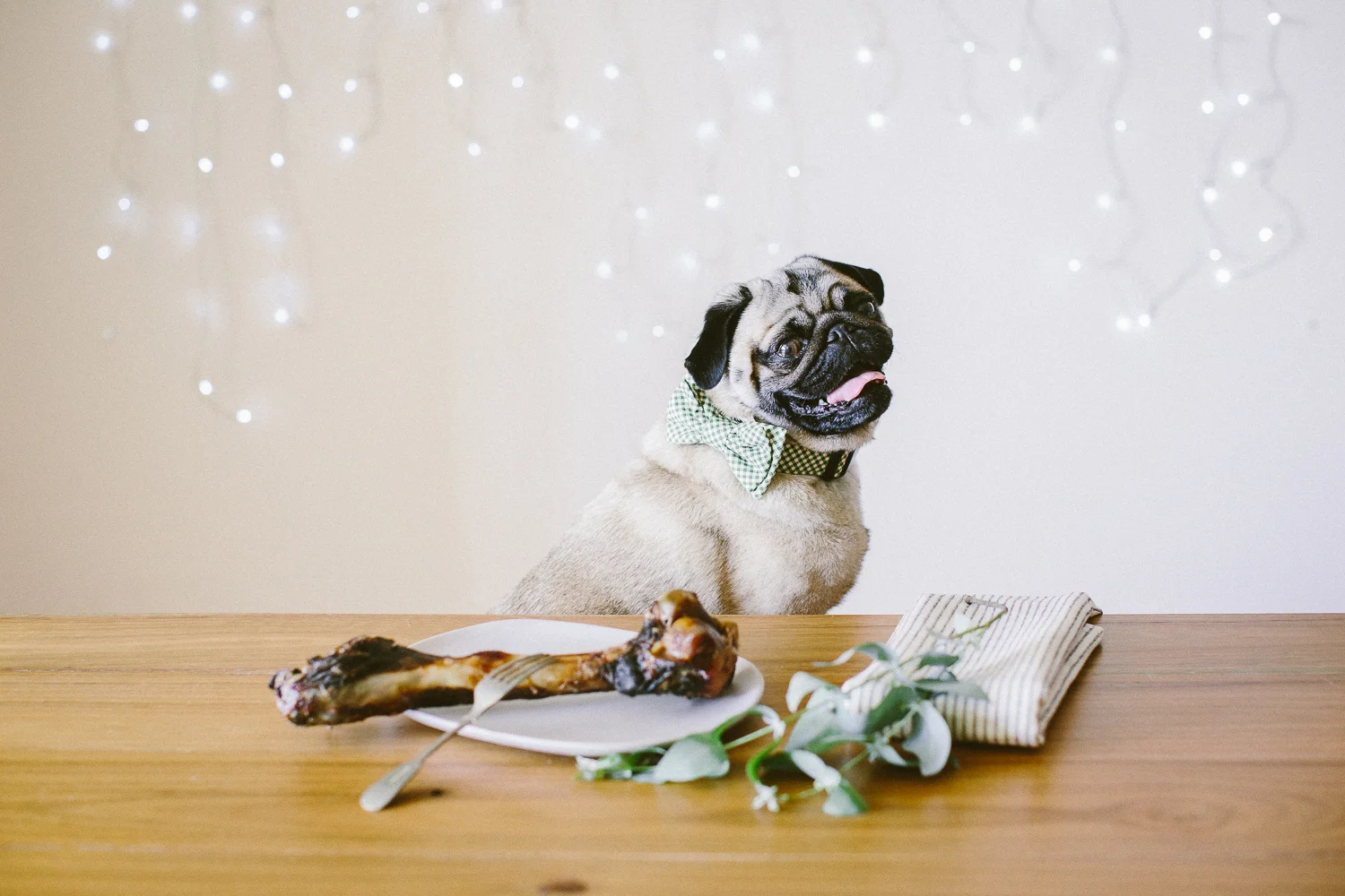 © twoguineapigs_jkblackwell_ohjaffa_christmas_bowtie_collection_WEBSITE-37.jpg