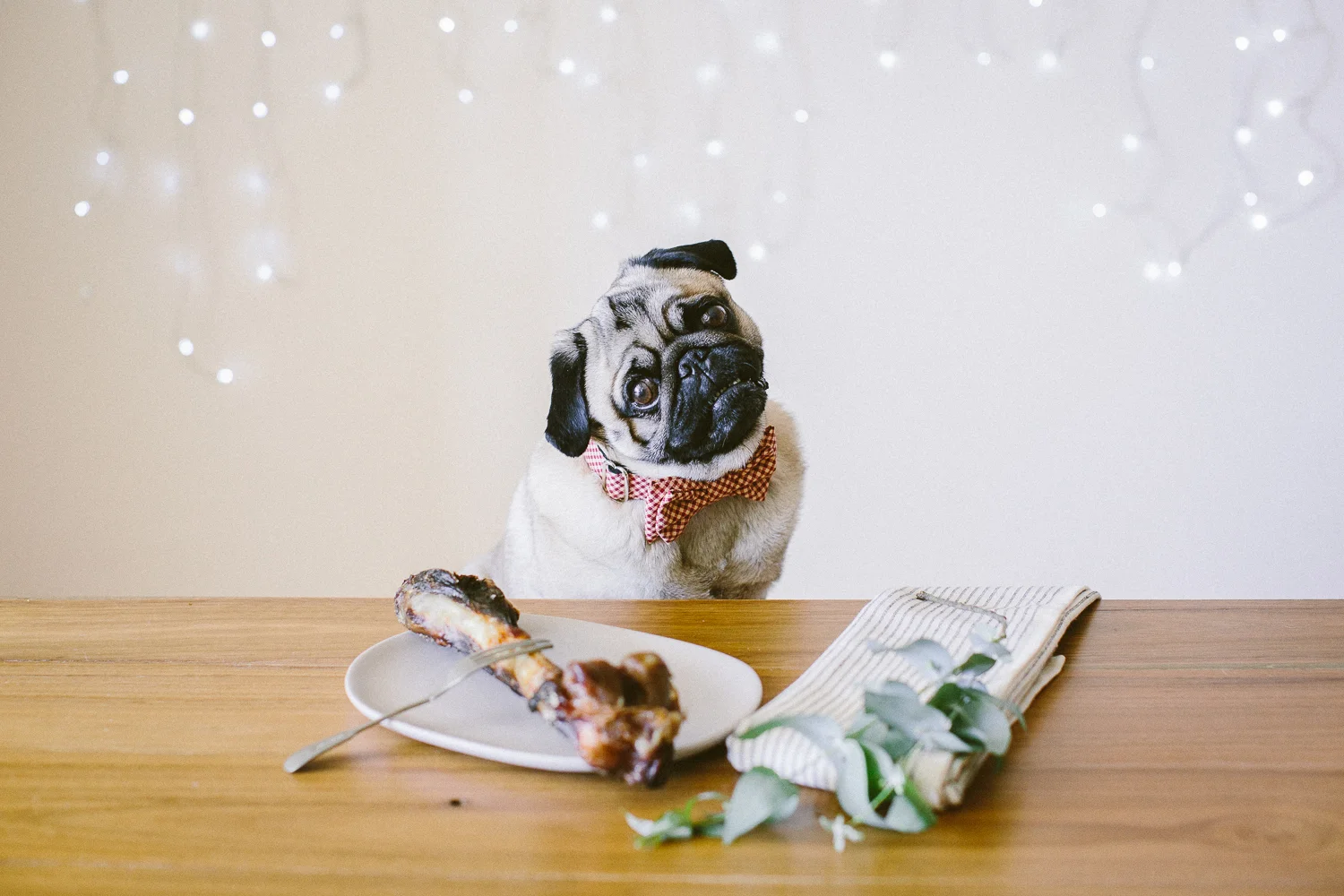 © twoguineapigs_jkblackwell_ohjaffa_christmas_bowtie_collection_WEBSITE-20.jpg