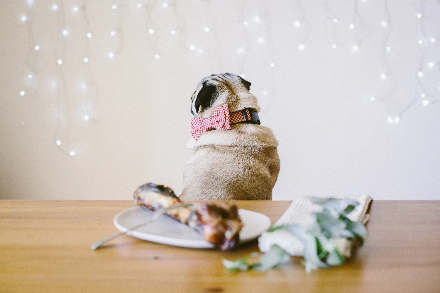 © twoguineapigs_jkblackwell_ohjaffa_christmas_bowtie_collection_WEBSITE-17.jpg