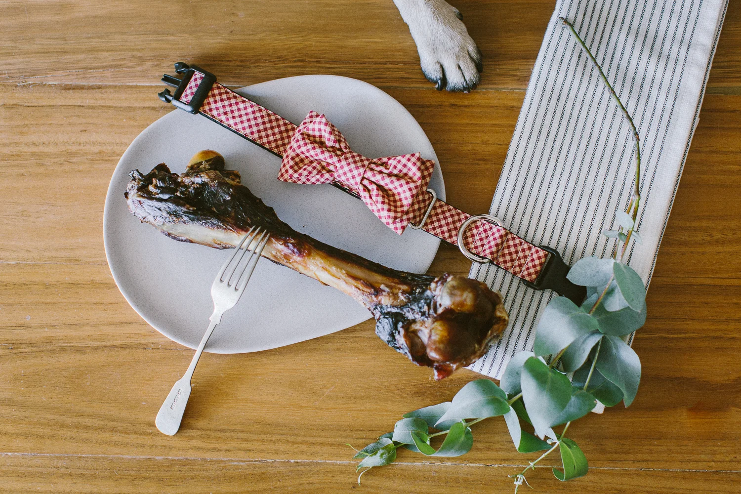 © twoguineapigs_jkblackwell_ohjaffa_christmas_bowtie_collection_WEBSITE-24.jpg