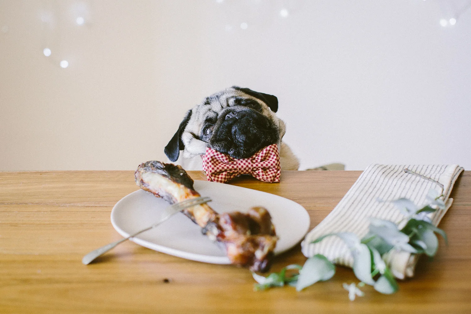 © twoguineapigs_jkblackwell_ohjaffa_christmas_bowtie_collection_WEBSITE-23.jpg