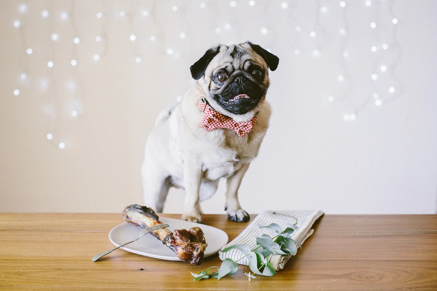 © twoguineapigs_jkblackwell_ohjaffa_christmas_bowtie_collection_WEBSITE-22.jpg