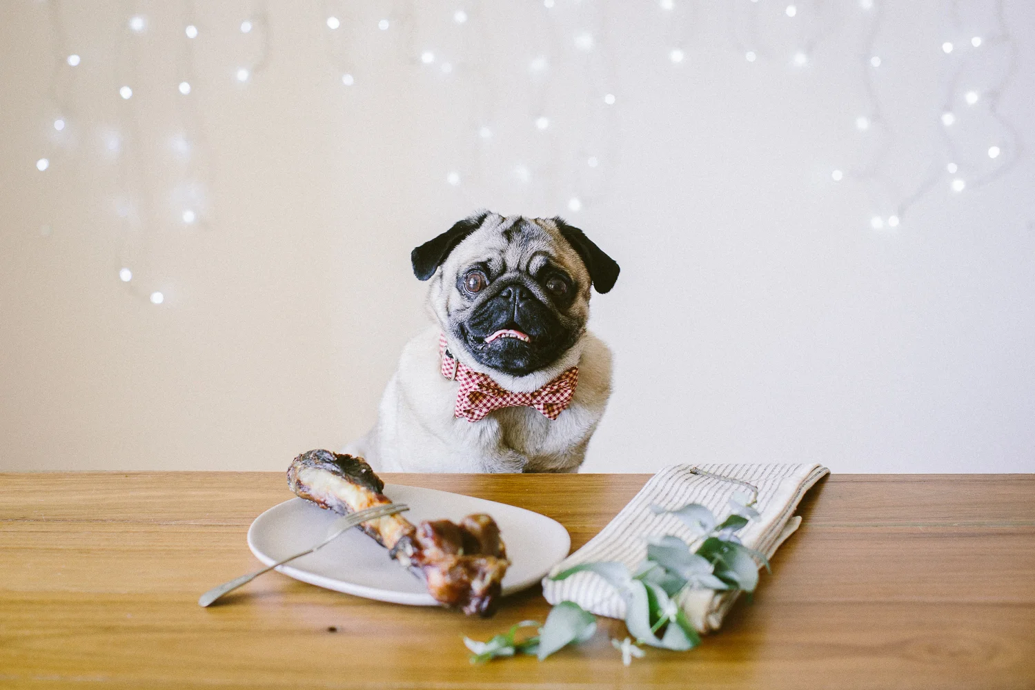 © twoguineapigs_jkblackwell_ohjaffa_christmas_bowtie_collection_WEBSITE-21.jpg