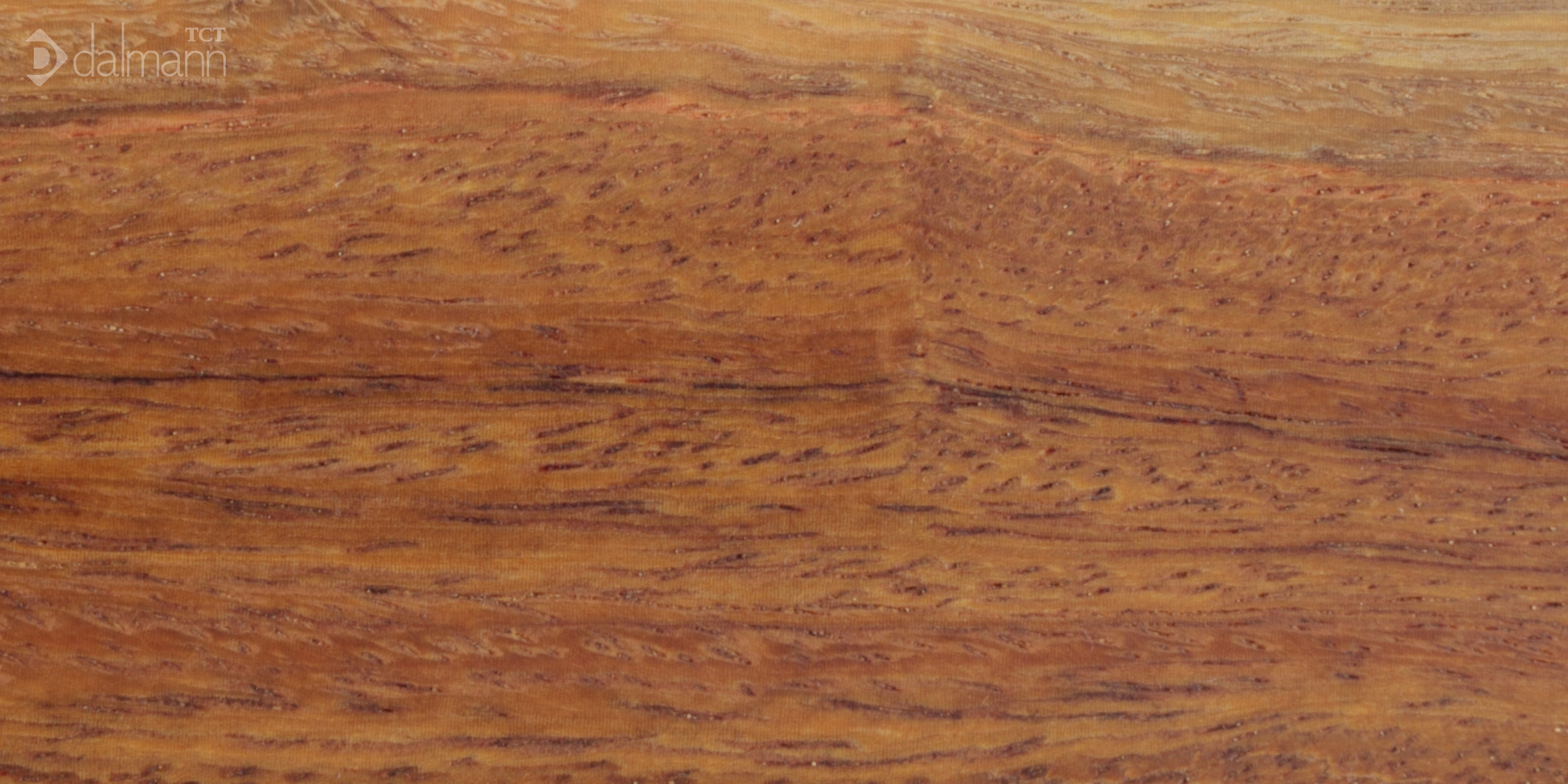 Wood sample